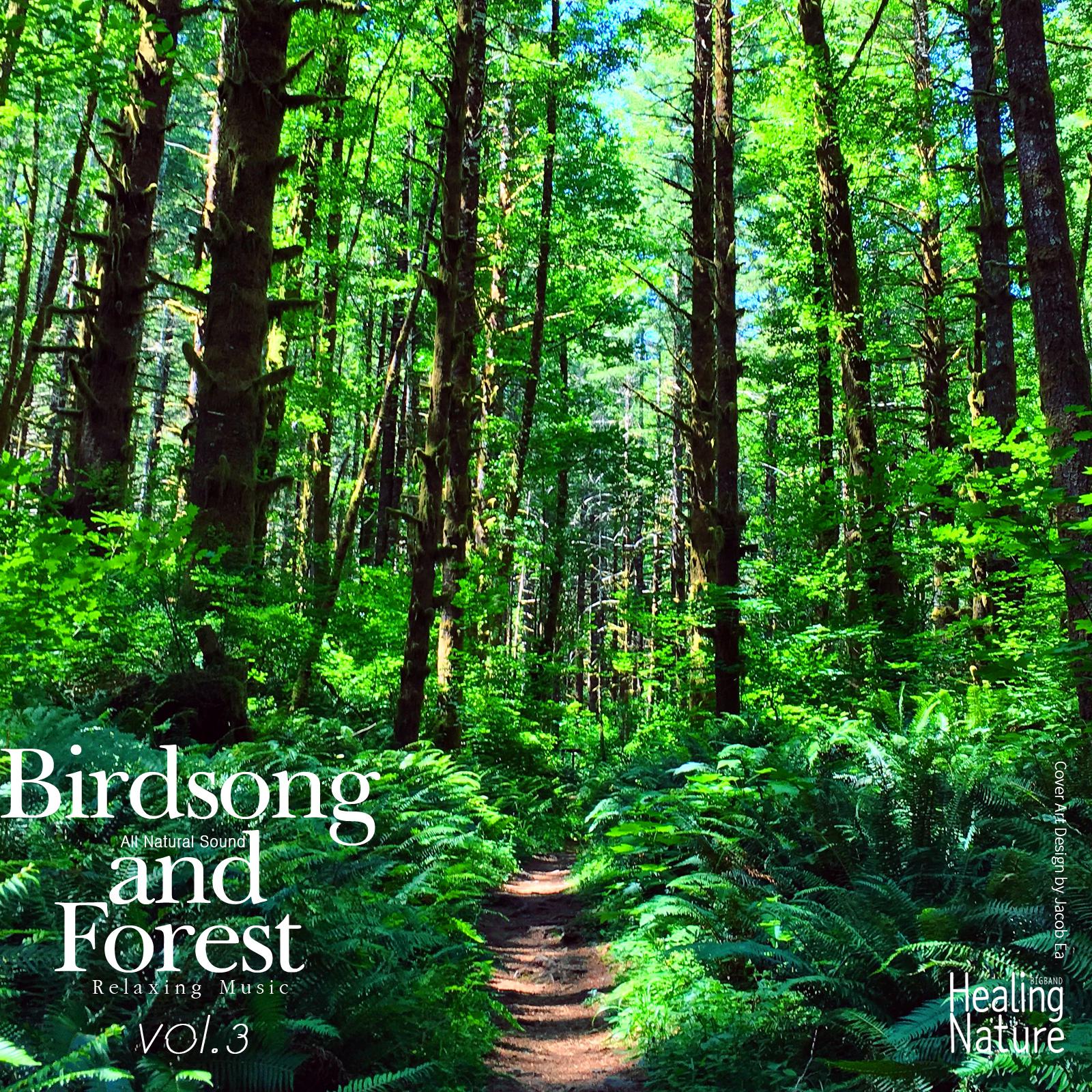 Healing Nature Sound from Forest 1