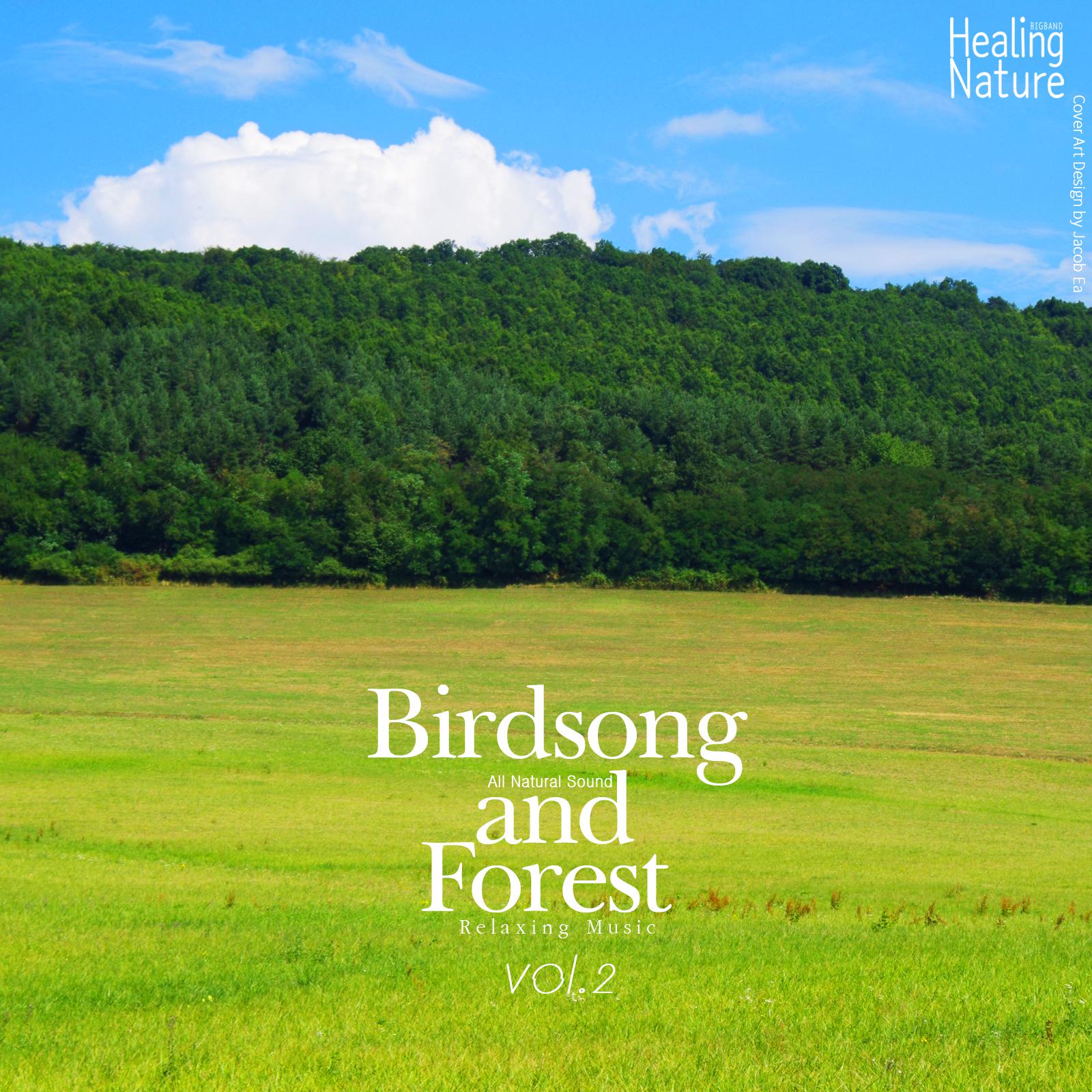 Birds and Forest Sound 2