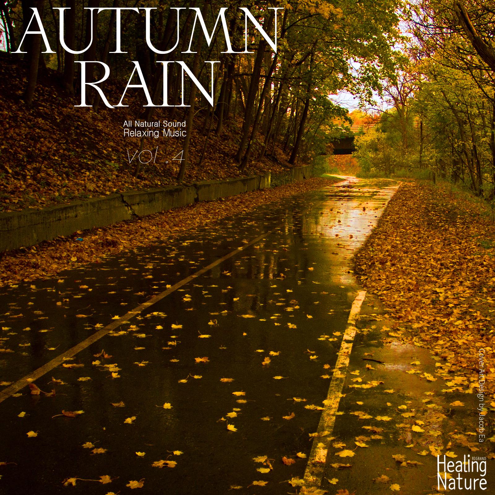 Autumn Rain Sound for Studying 1