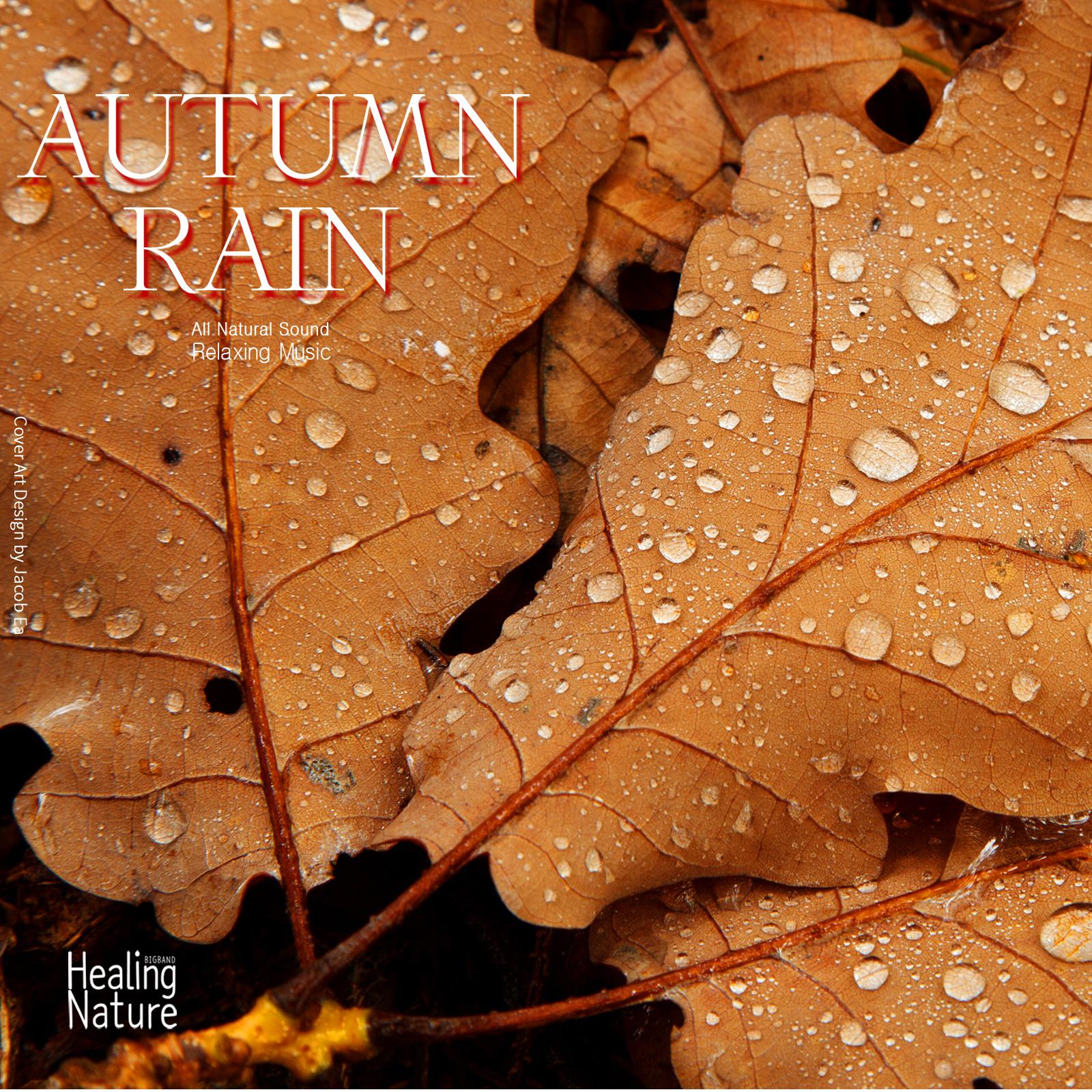 Autumn Rain for Studying