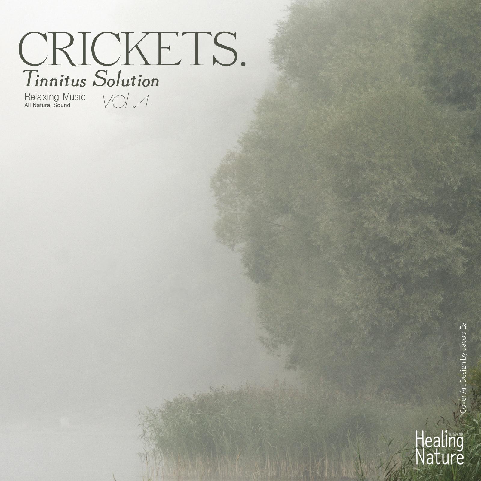 Crickets Tinntus Solution, Vol. 4