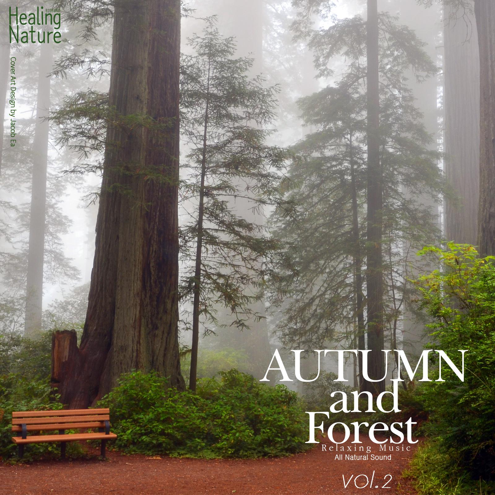 Autumn and Forest Relaxing Music, Vol. 2