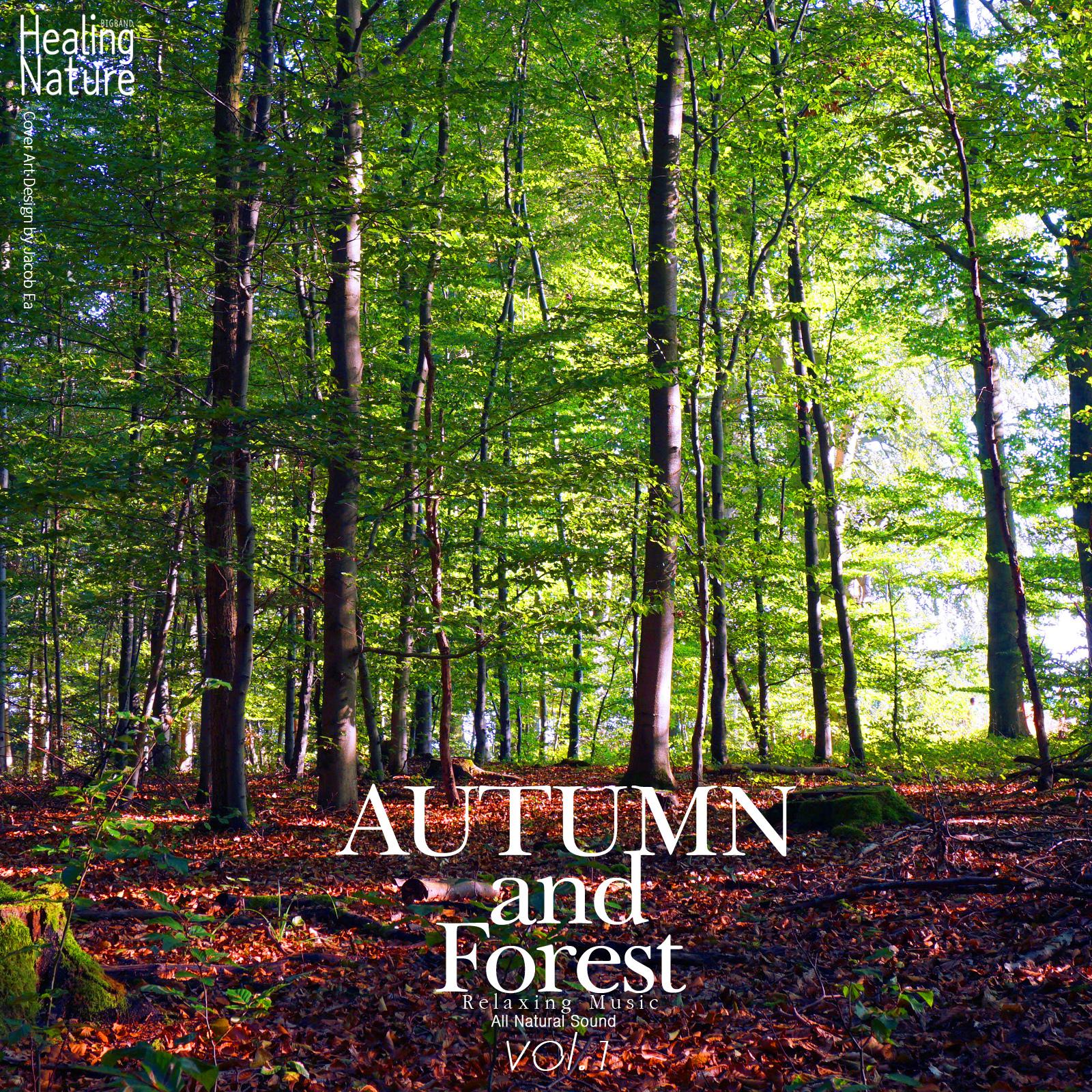 Autumn and Forest Relaxing Music, Vol. 1