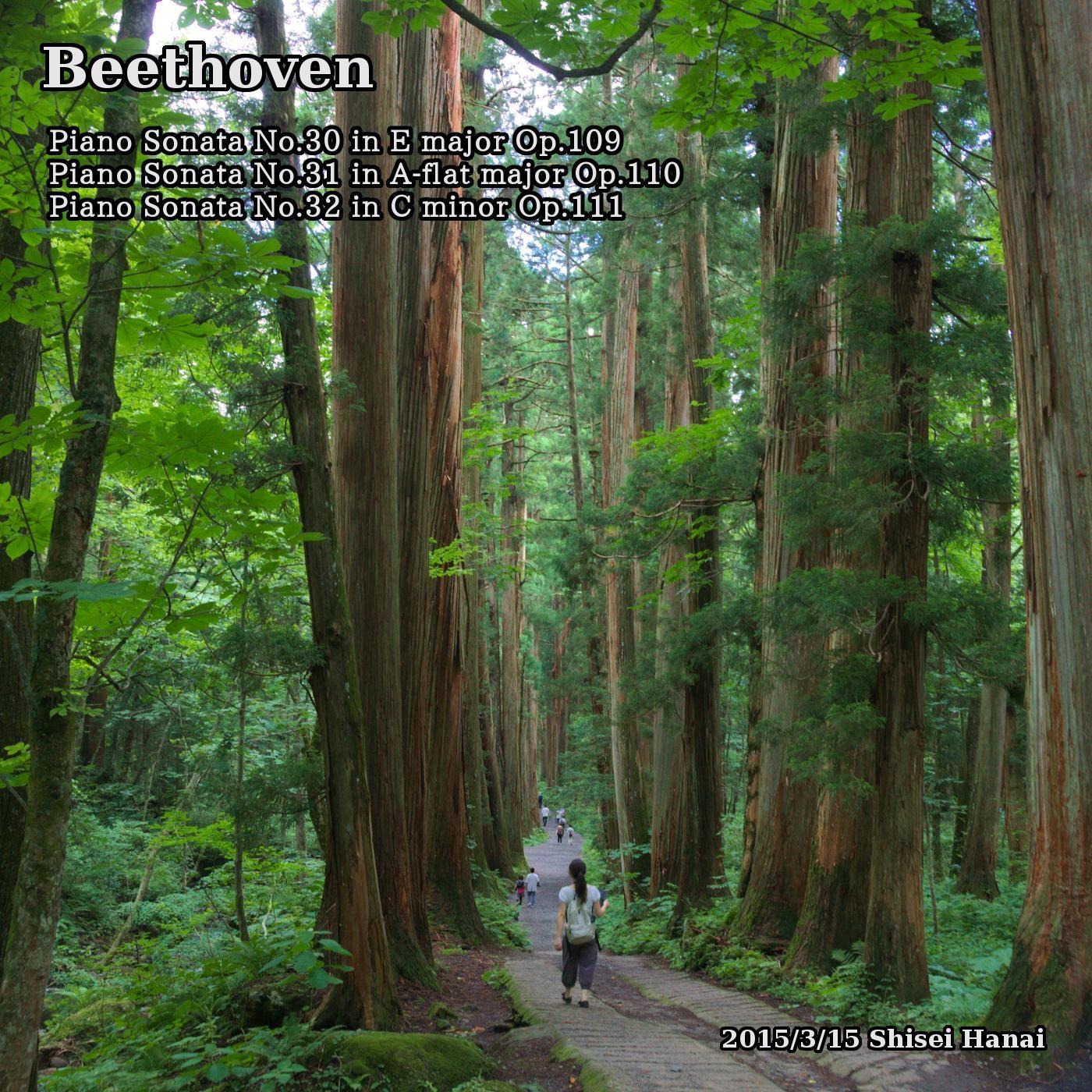 Beethoven Piano Sonata No. 30, 31, 32