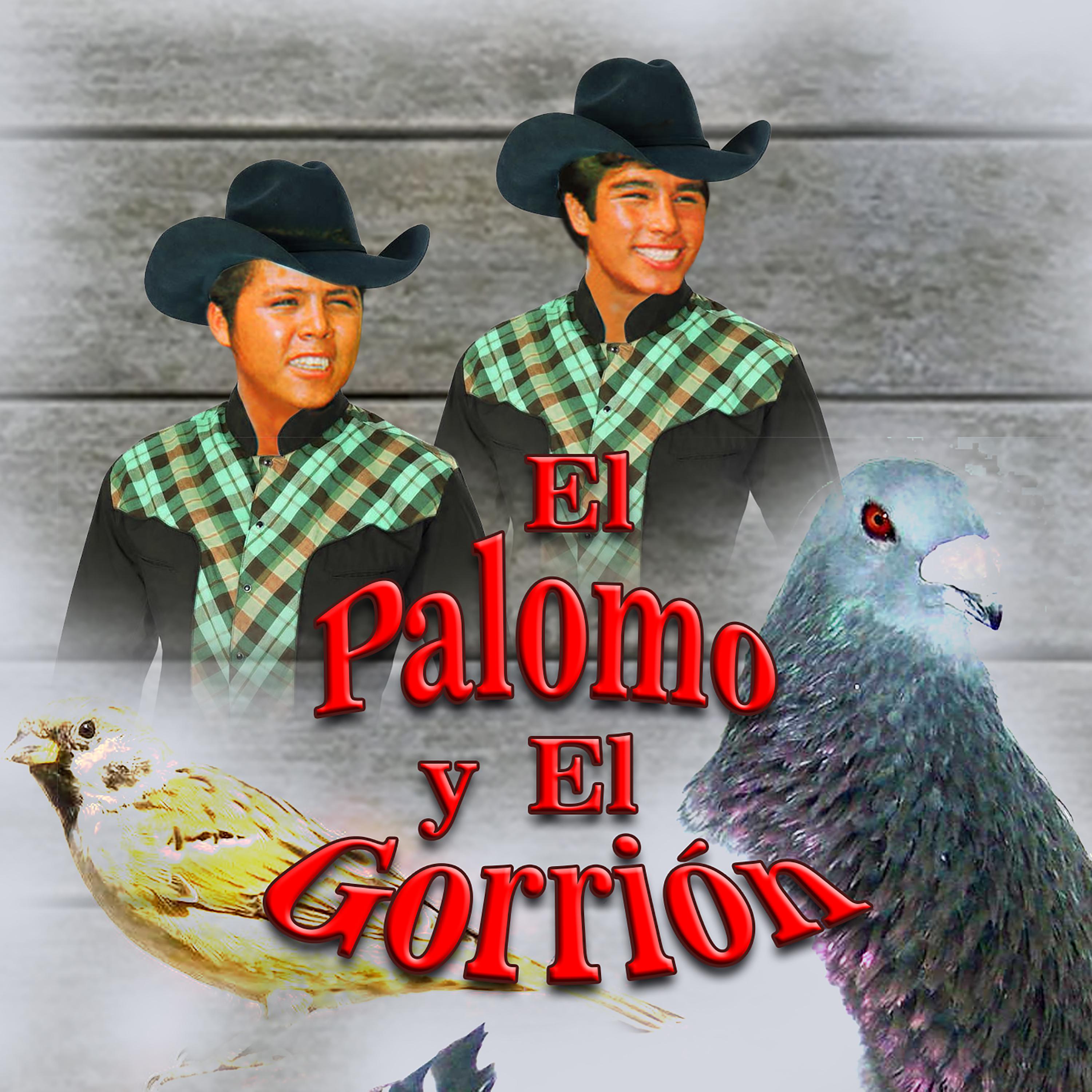 El Palomo y El Gorrión