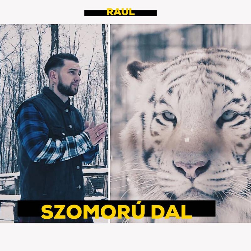 Szomorú Dal