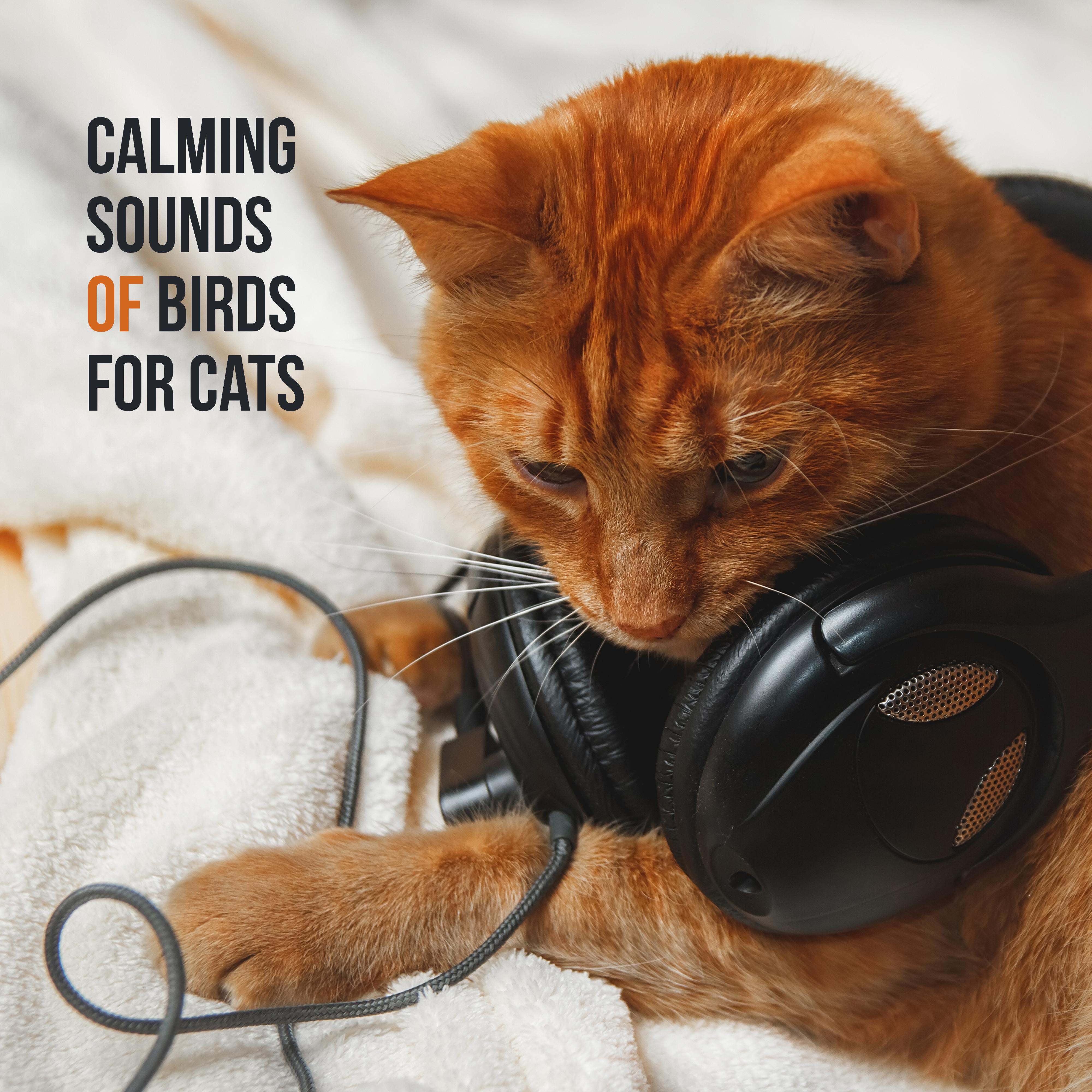 Calming Sounds of Birds for Cats – 15 Relaxing Sounds for Pets, Music for Cats, Deep Harmony, Nature Sounds, Relax & Sleep, Calm Down