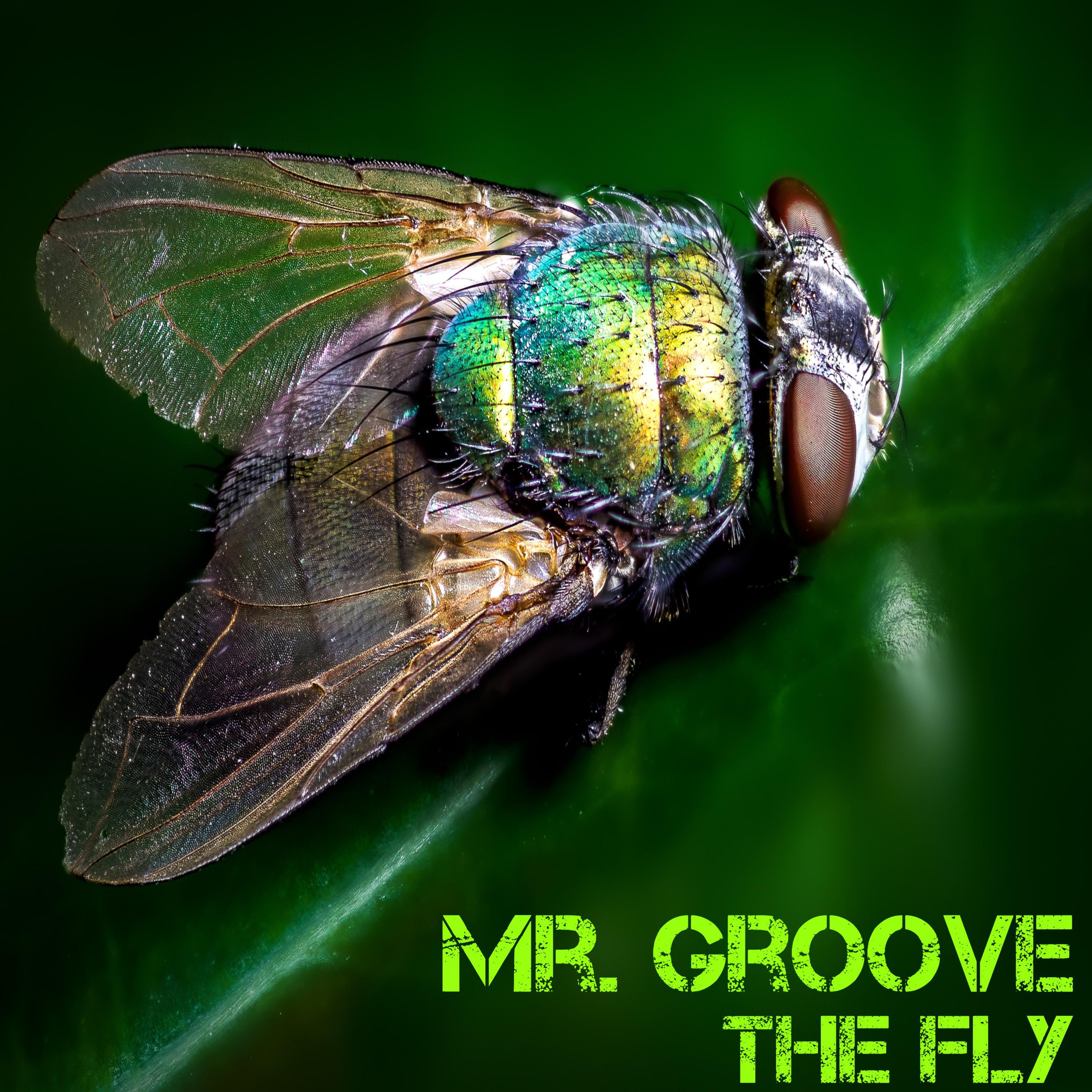 The Fly