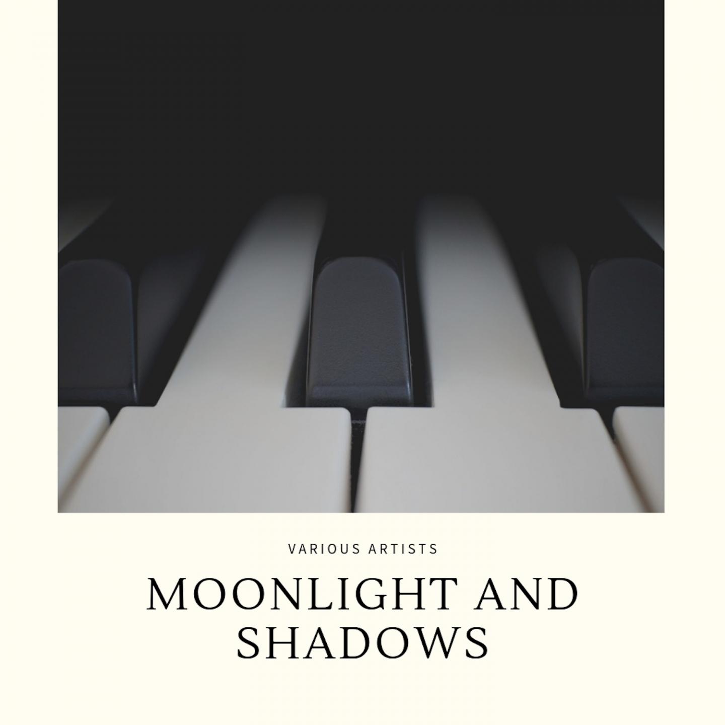 Moonlight and Shadows