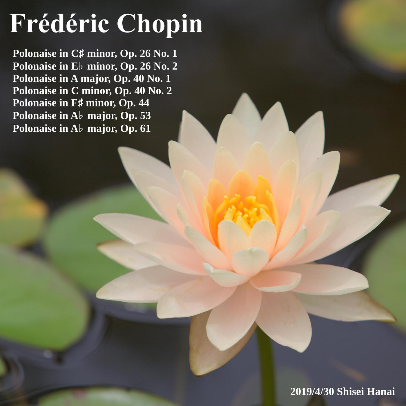 Chopin Polonaise, Vol. 1