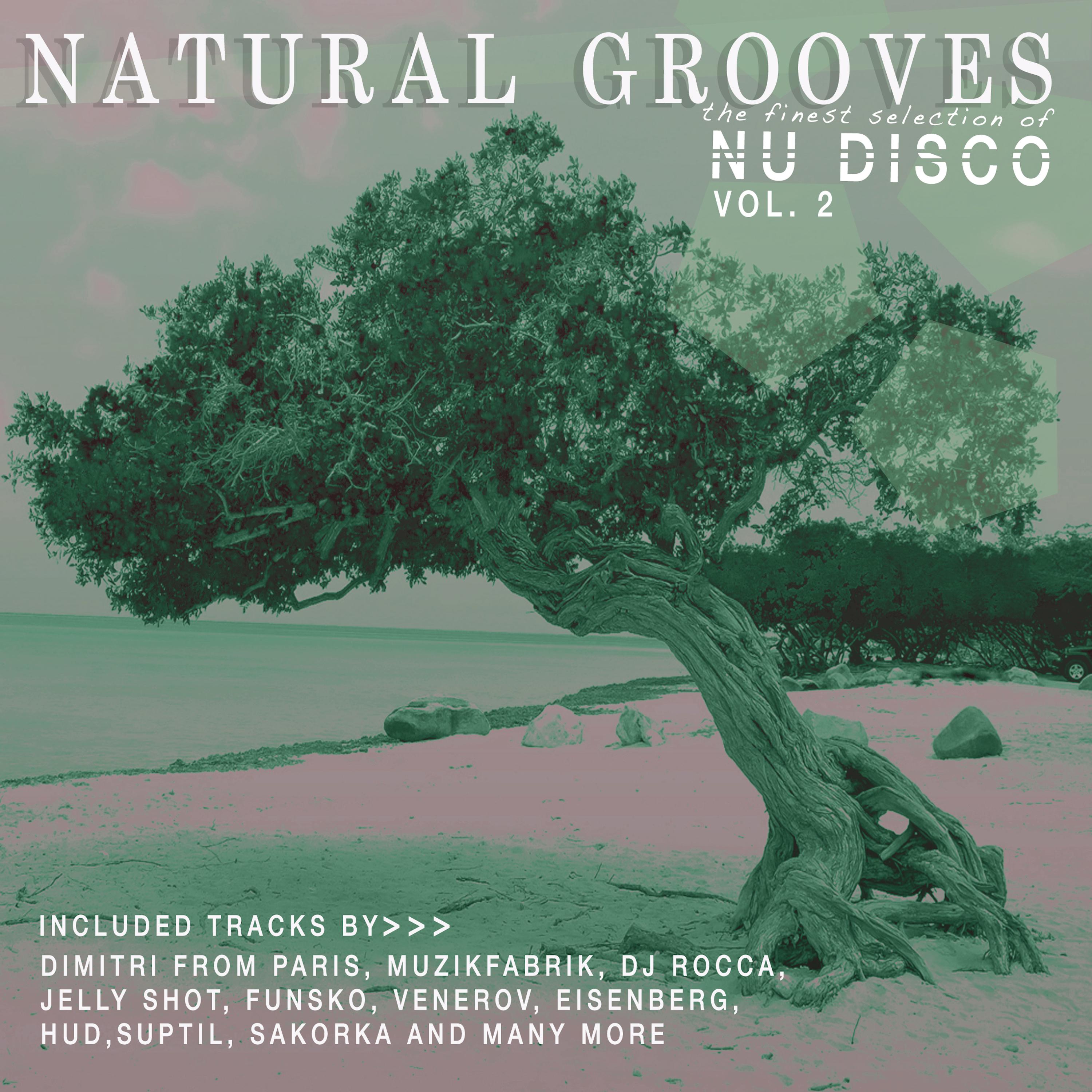 Natural Grooves Fines Selection of NU DISCO, Vol. 2
