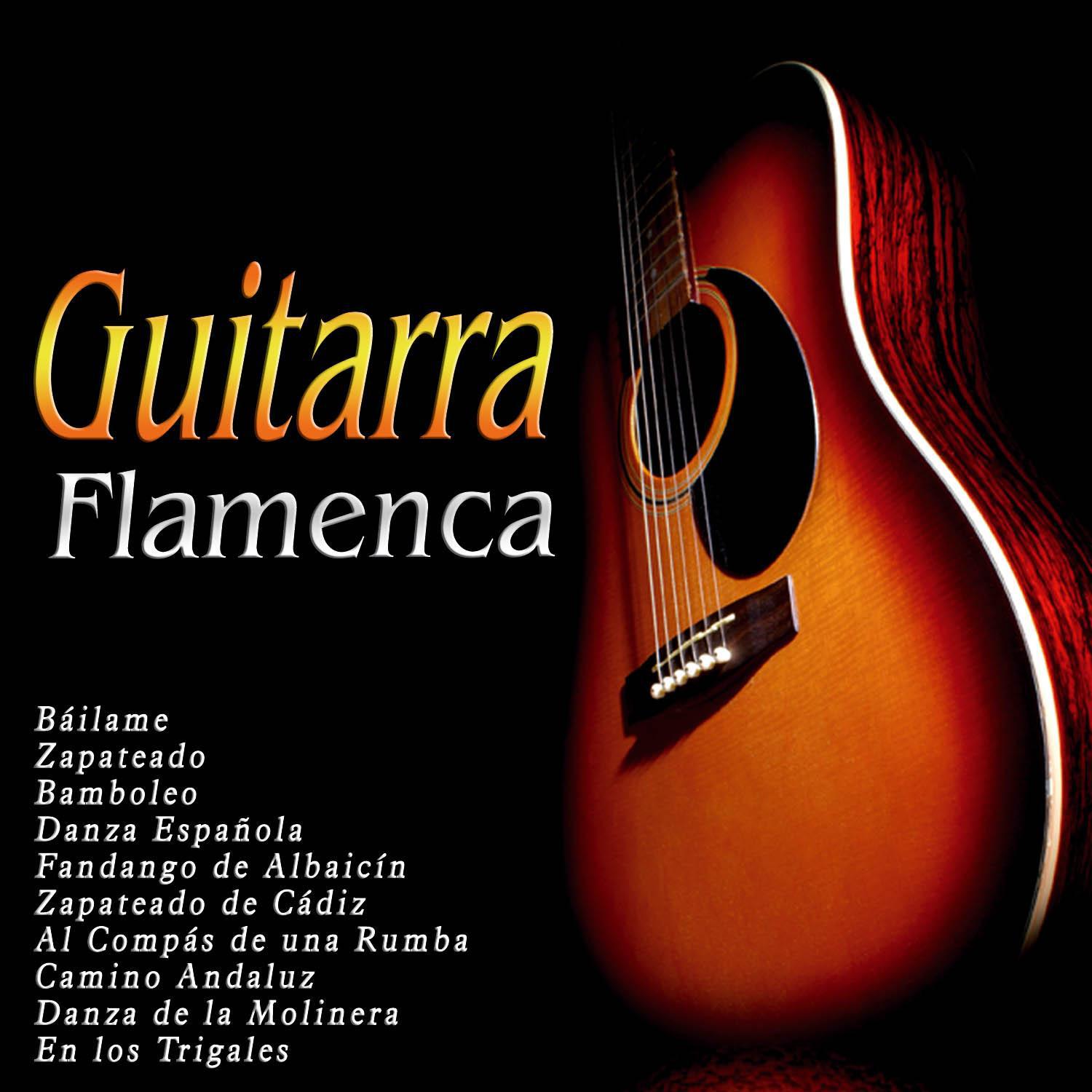 Guitarra Flamenca