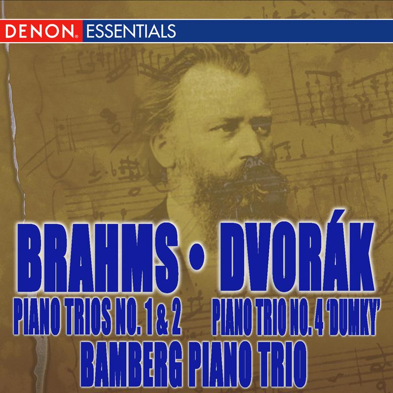 Piano Trio No. 4 "Dumky" in E Minor, Op. 90, B166: III. Andante - Vivace non troppo