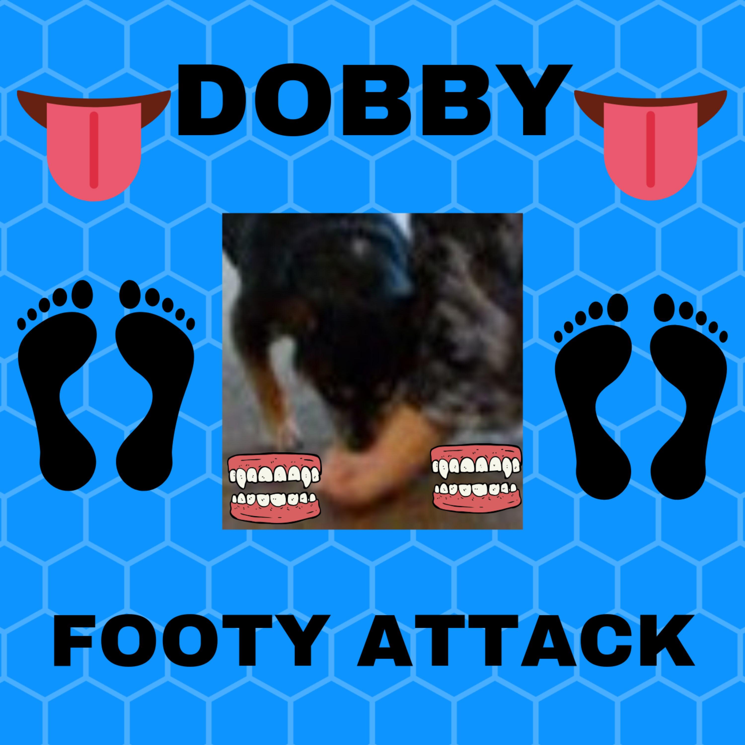 Dobby - Footy Attack