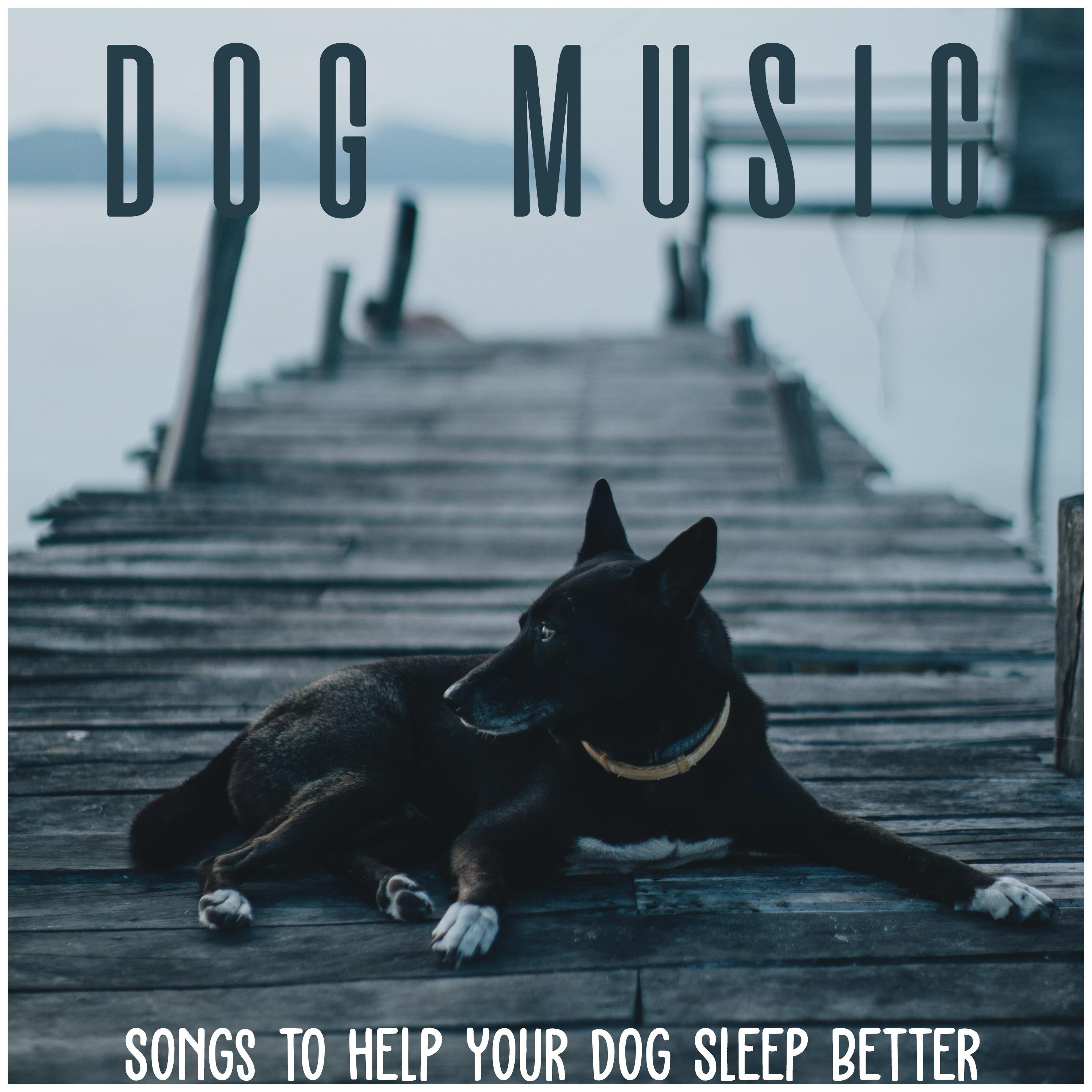 Dog Music: Songs to Help Your Dog Sleep Better