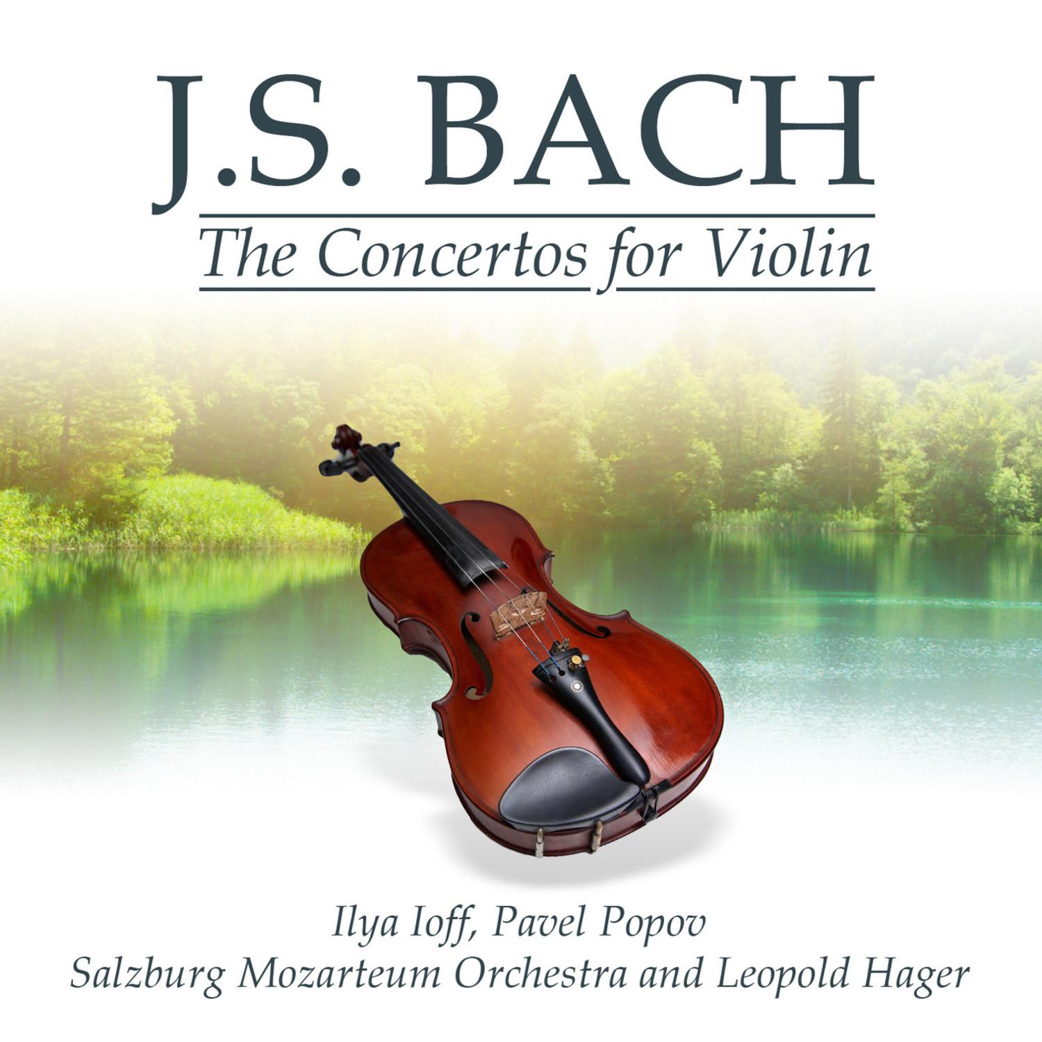 Concerto No. 2 in E Major for Violin and Strings, BWV 1042: I. Allegro