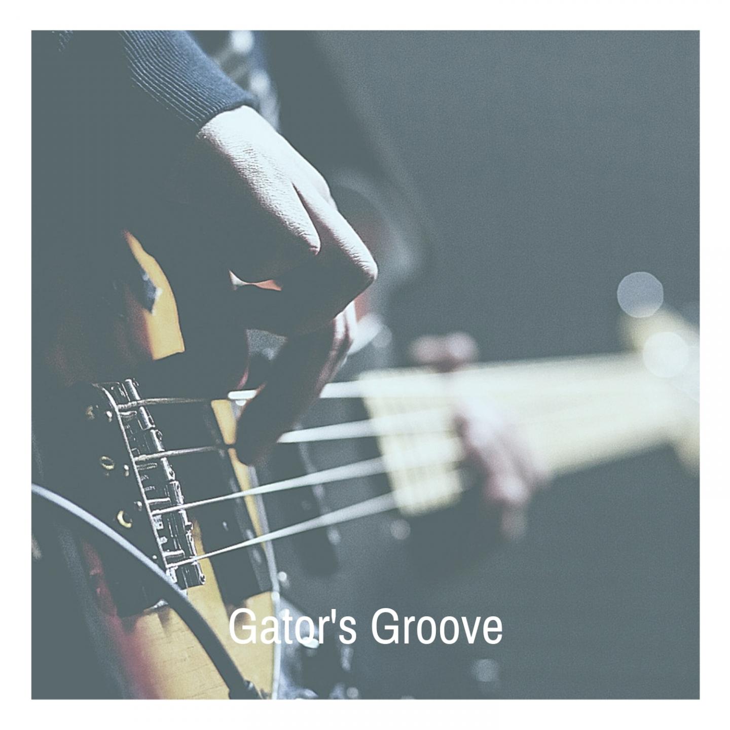 Gator's Groove