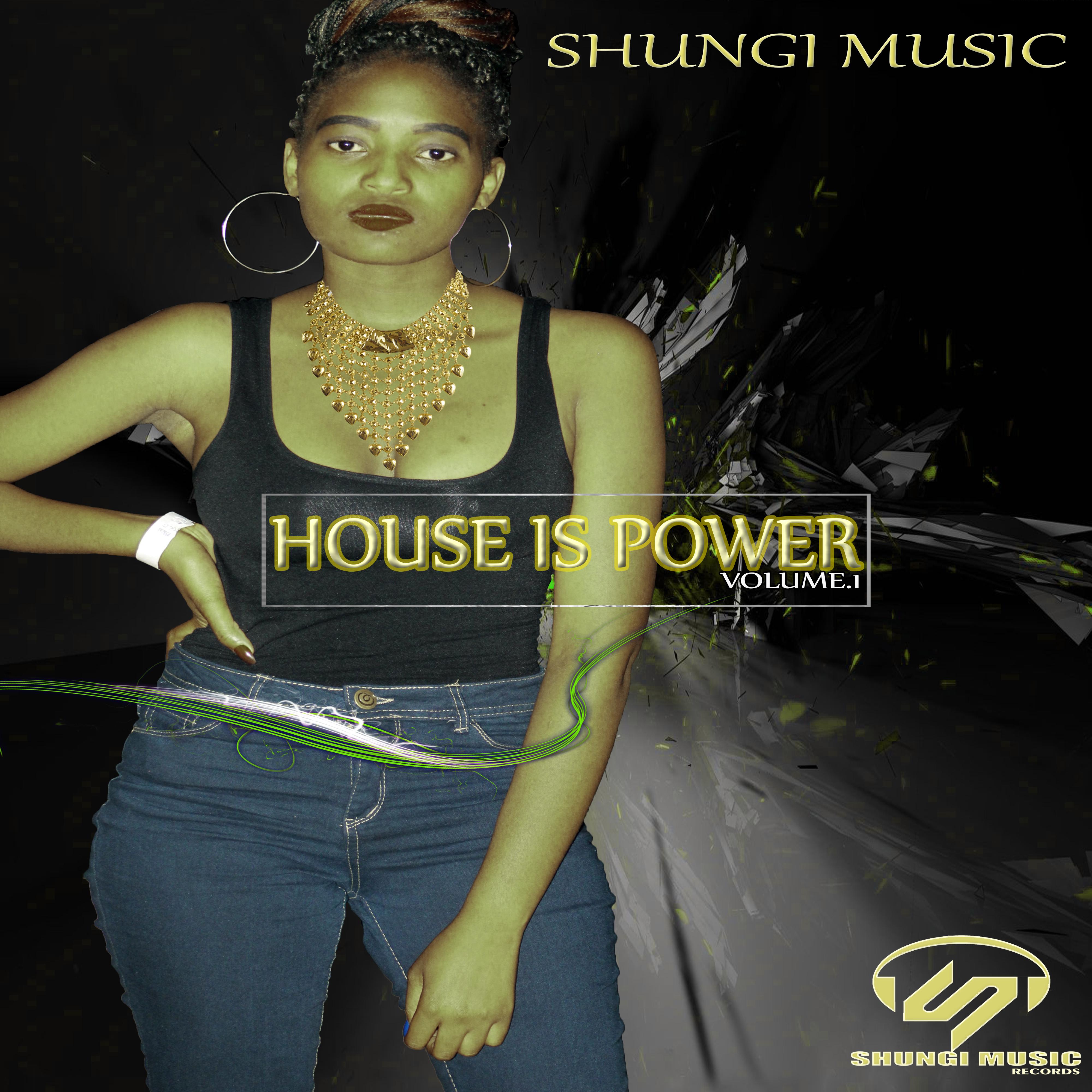 House Is Power, Vol. 1