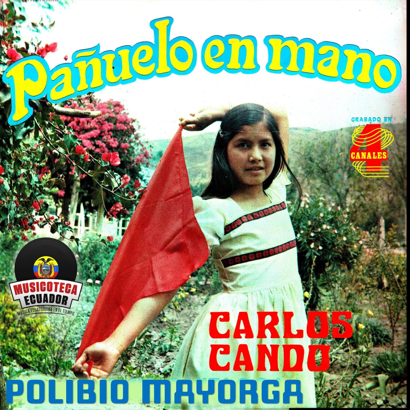 Pañuelo en Mano