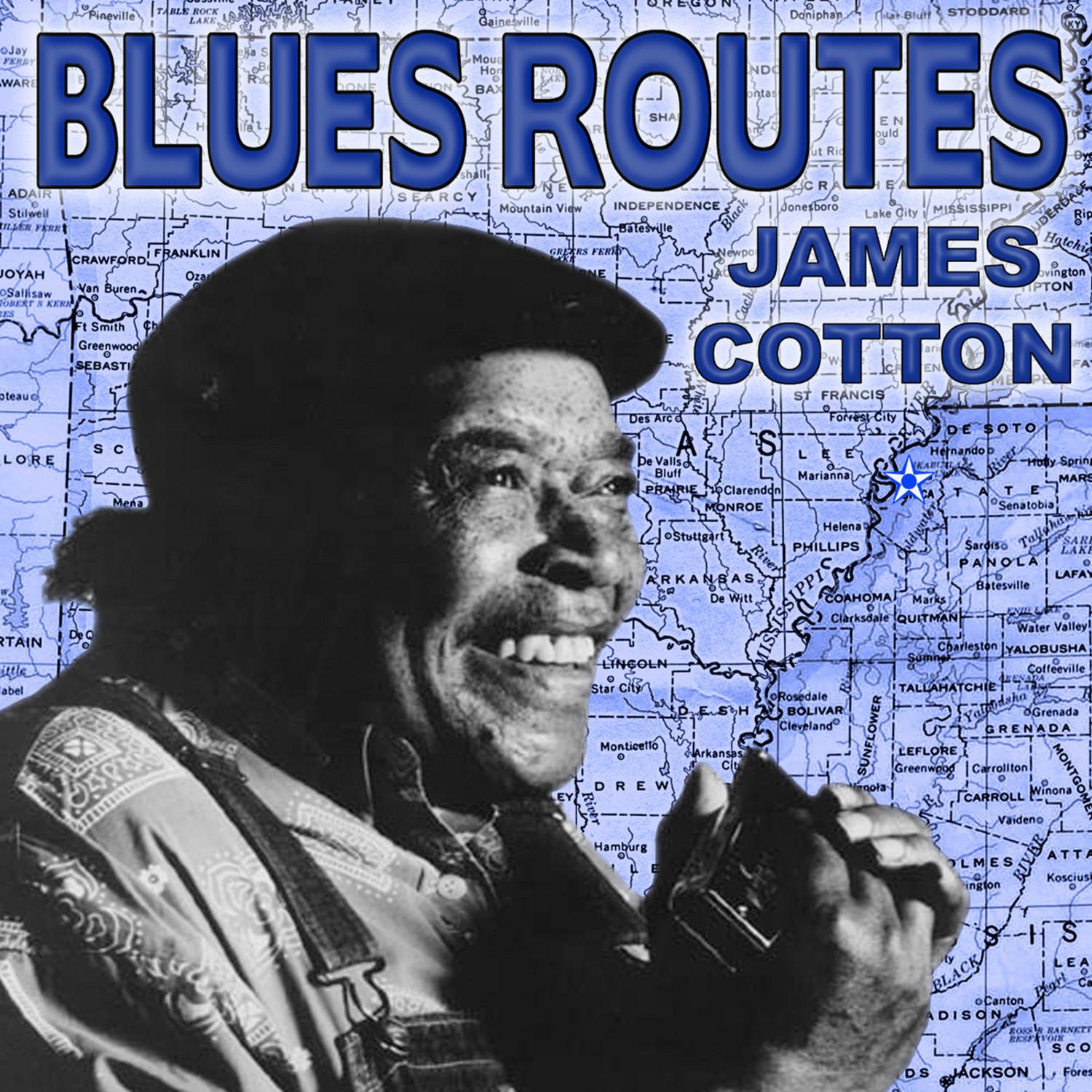Blues Routes James Cotton