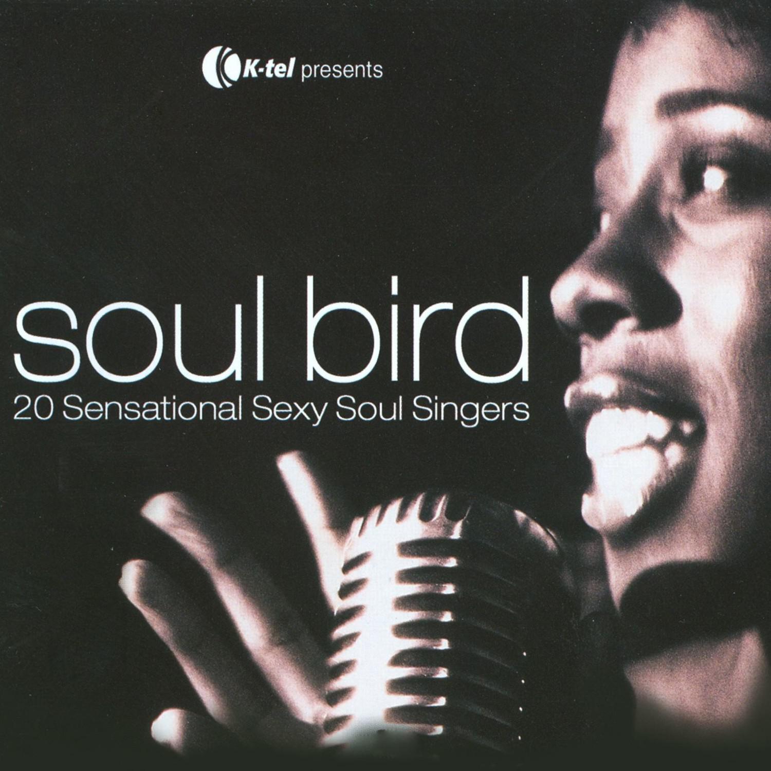 Soul Bird - 20 Sensational **** Soul Singers