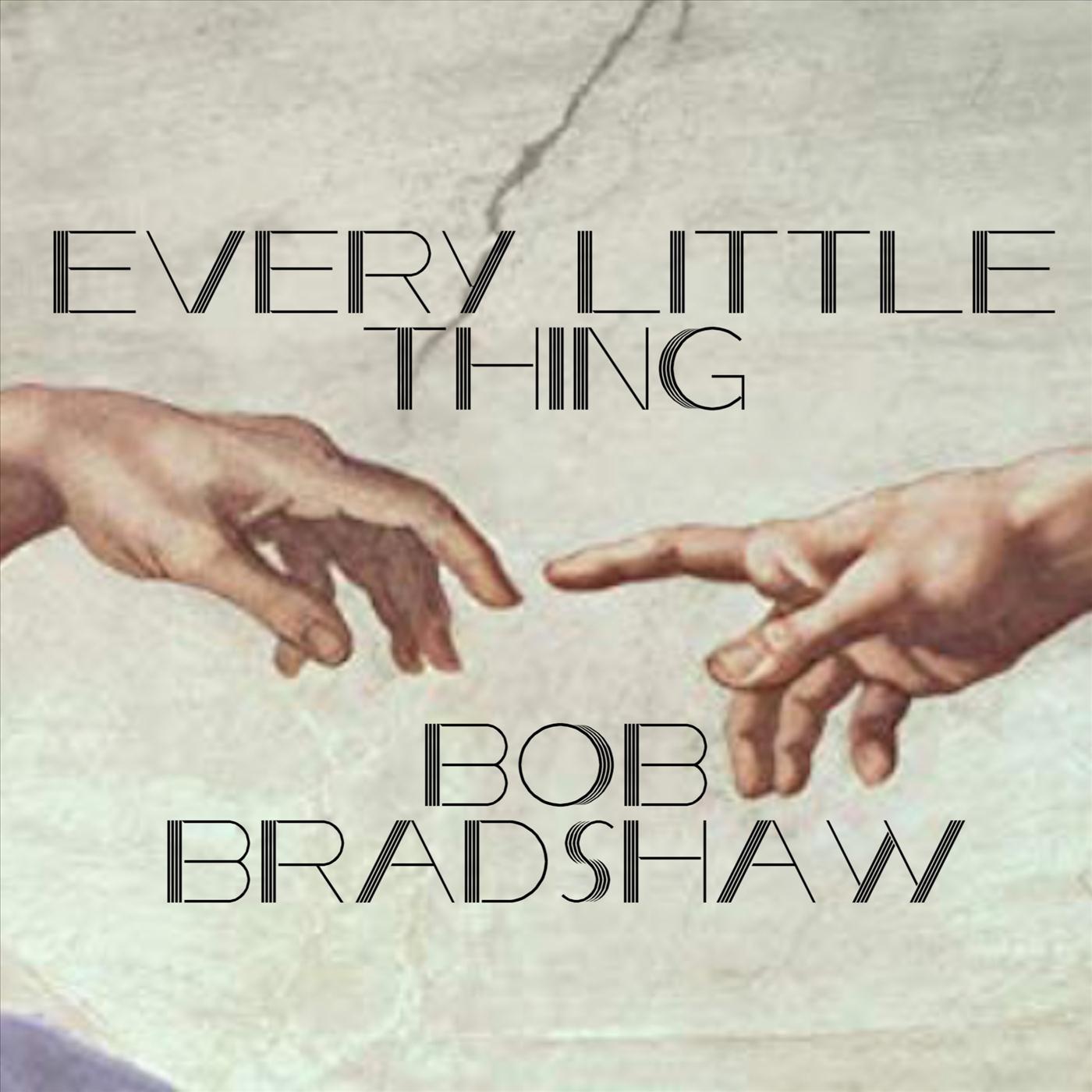 Every Little Thing