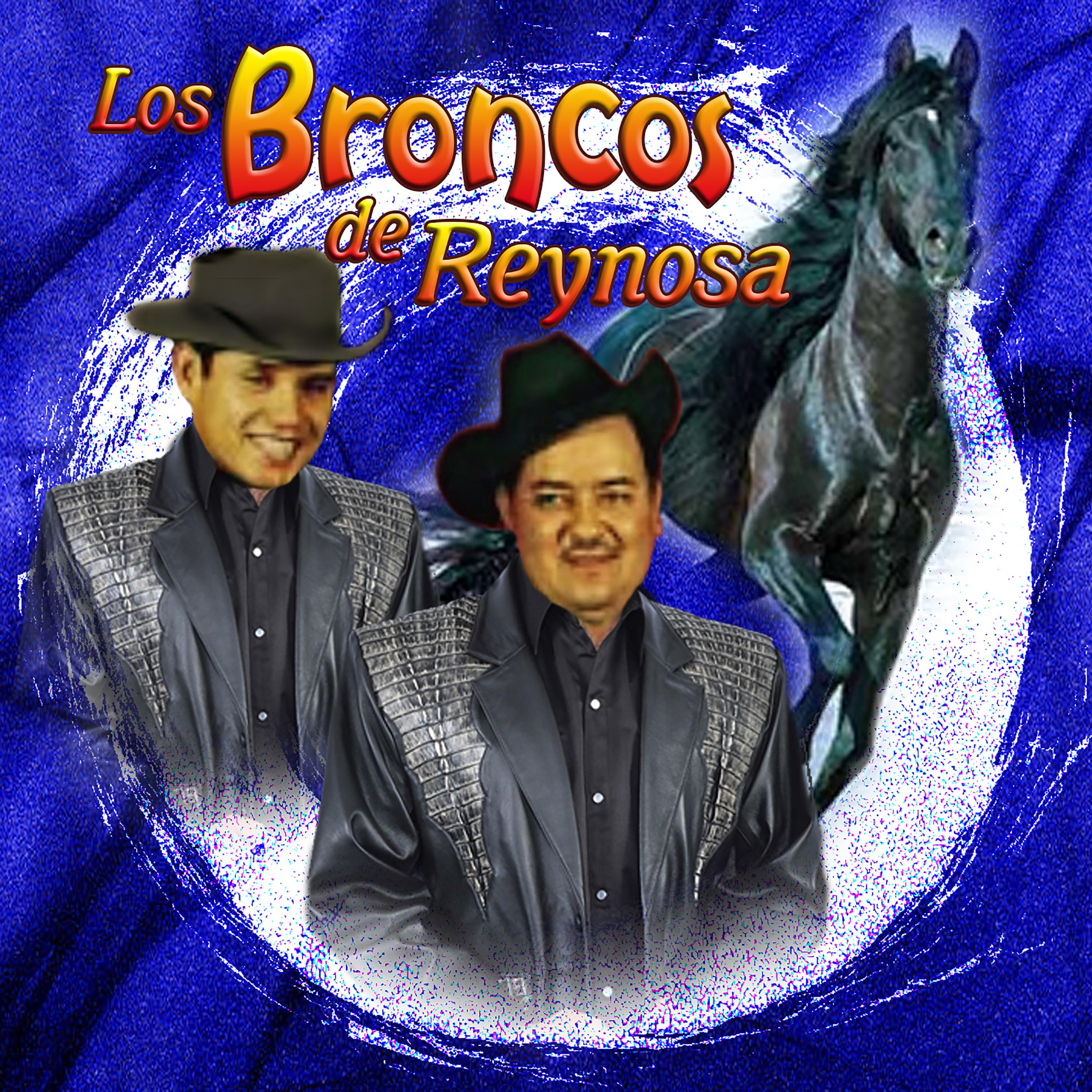 Los Broncos de Reynosa