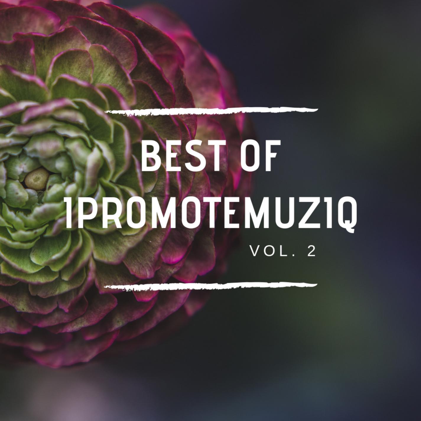 Best of Ipromotemuziq Vol. 2