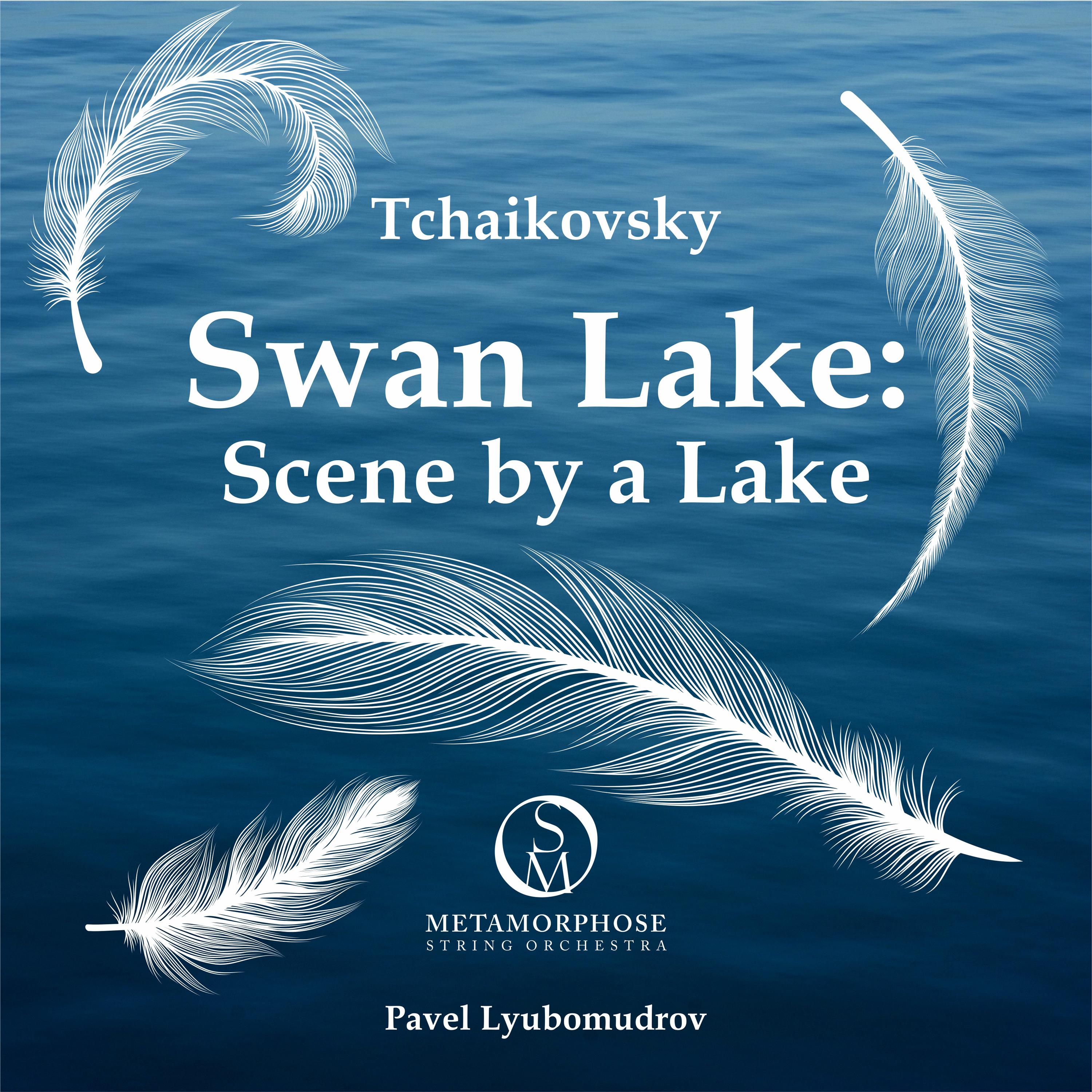 Swan Lake, Op. 20: Scene by a Lake