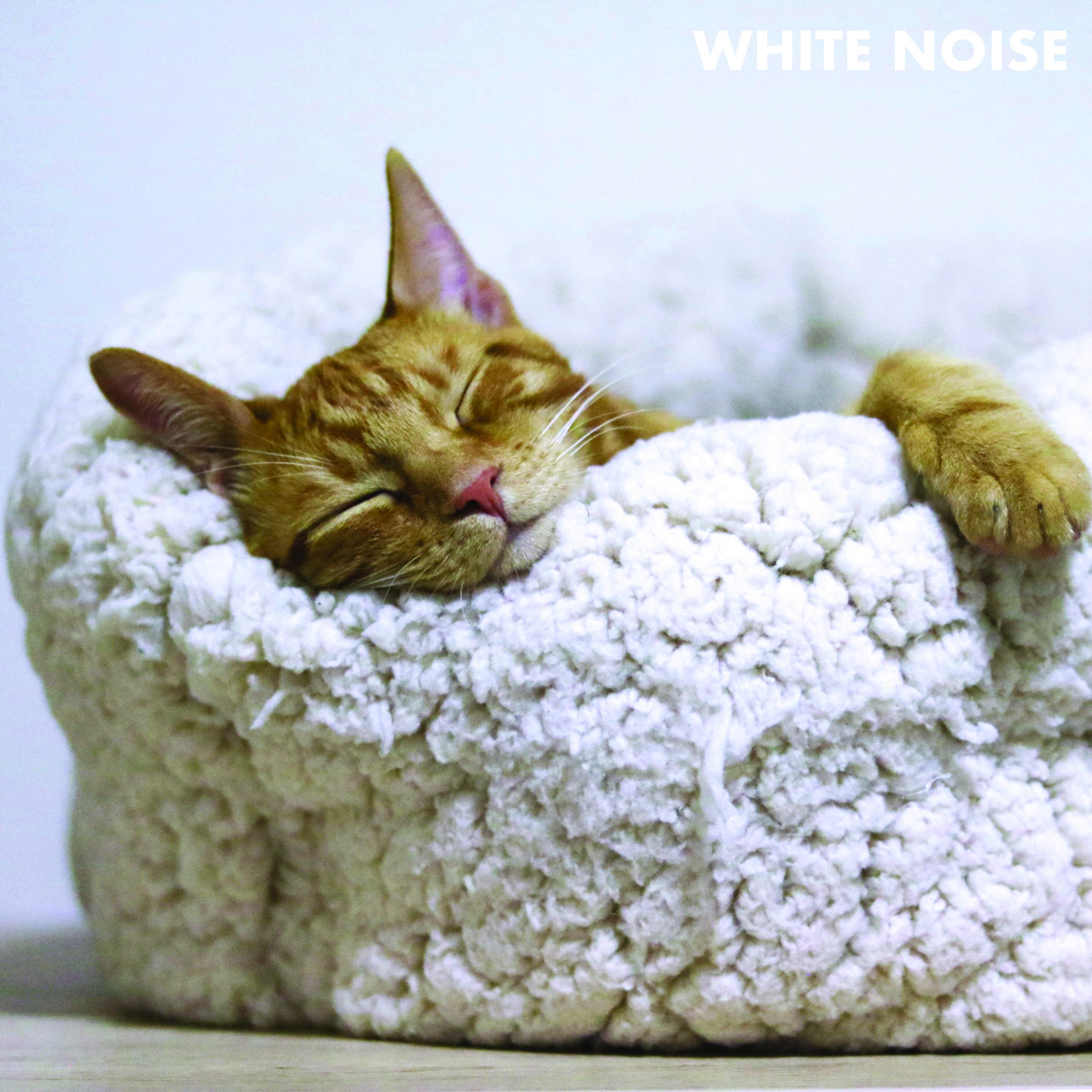 White Noise Non Stationary Fan