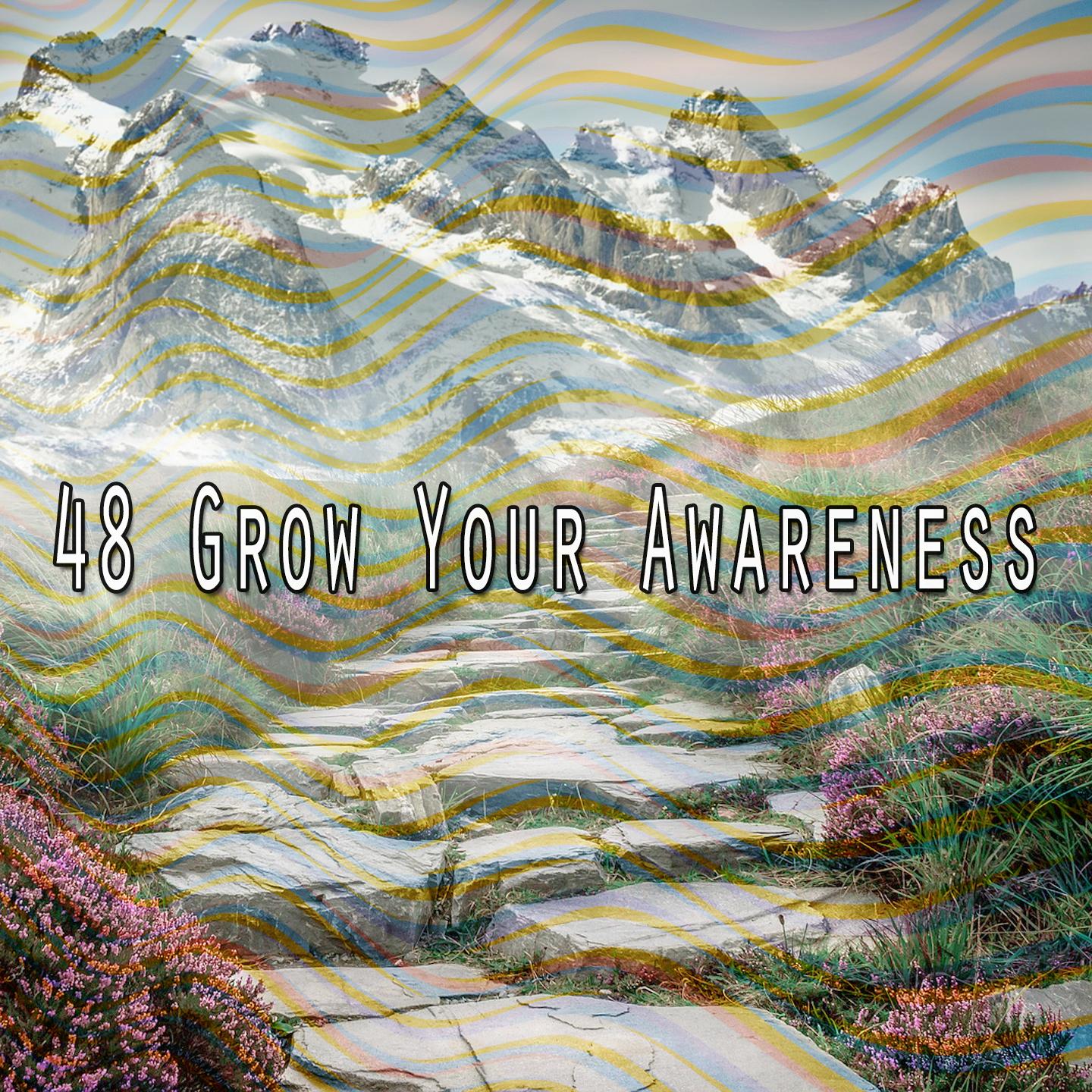 48 Grow Your Awareness