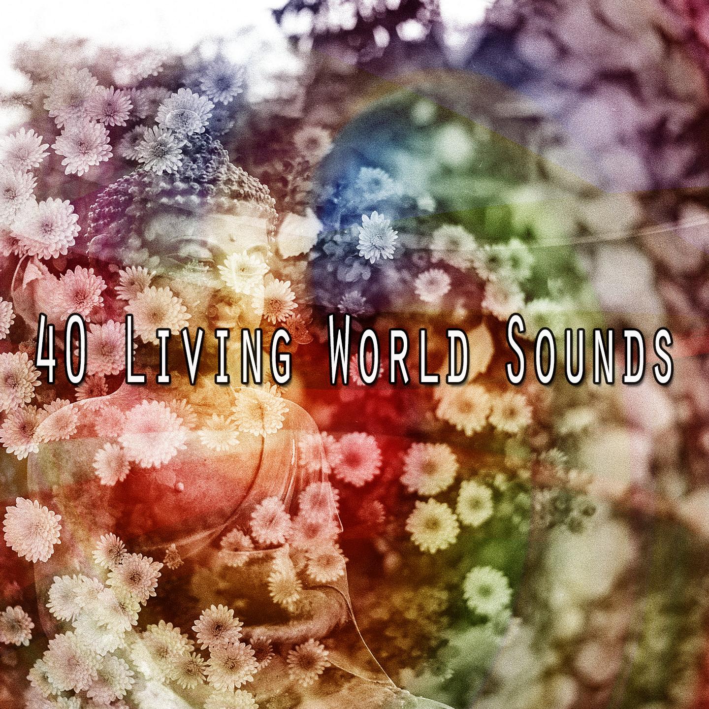 40 Living World Sounds