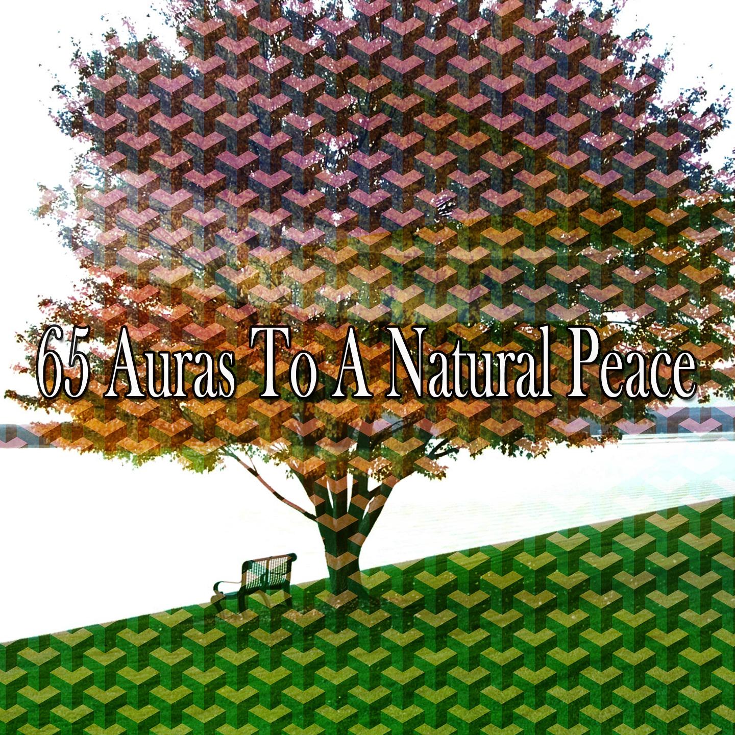 65 Auras to a Natural Peace