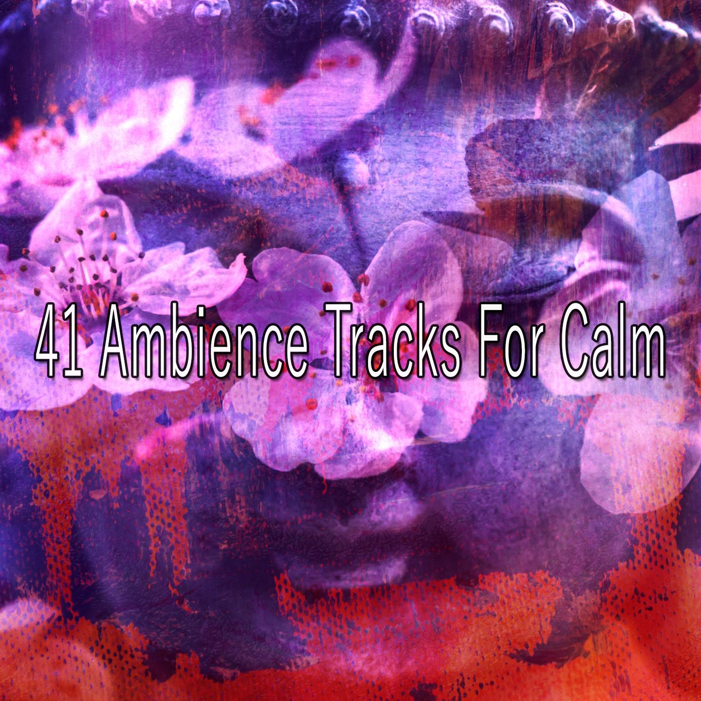 41 Ambience Tracks for Calm