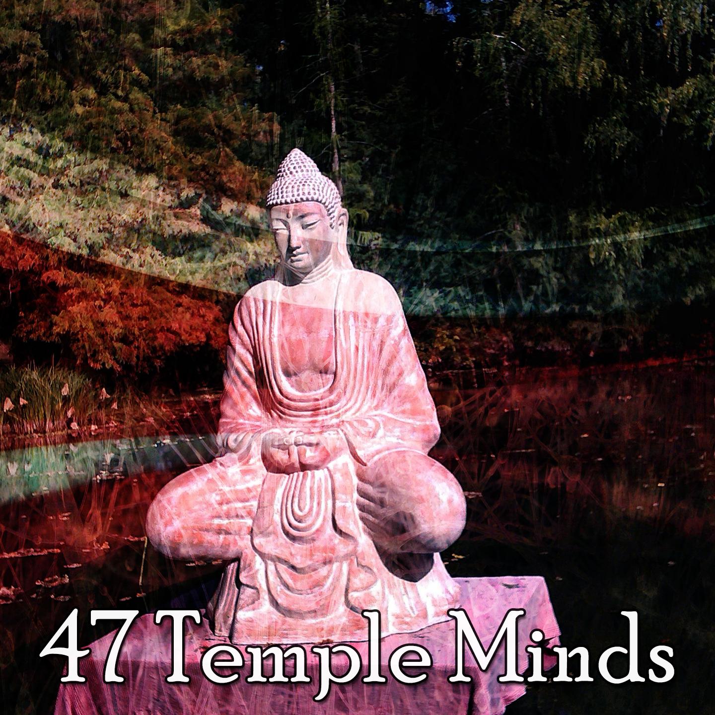 47 Temple Minds