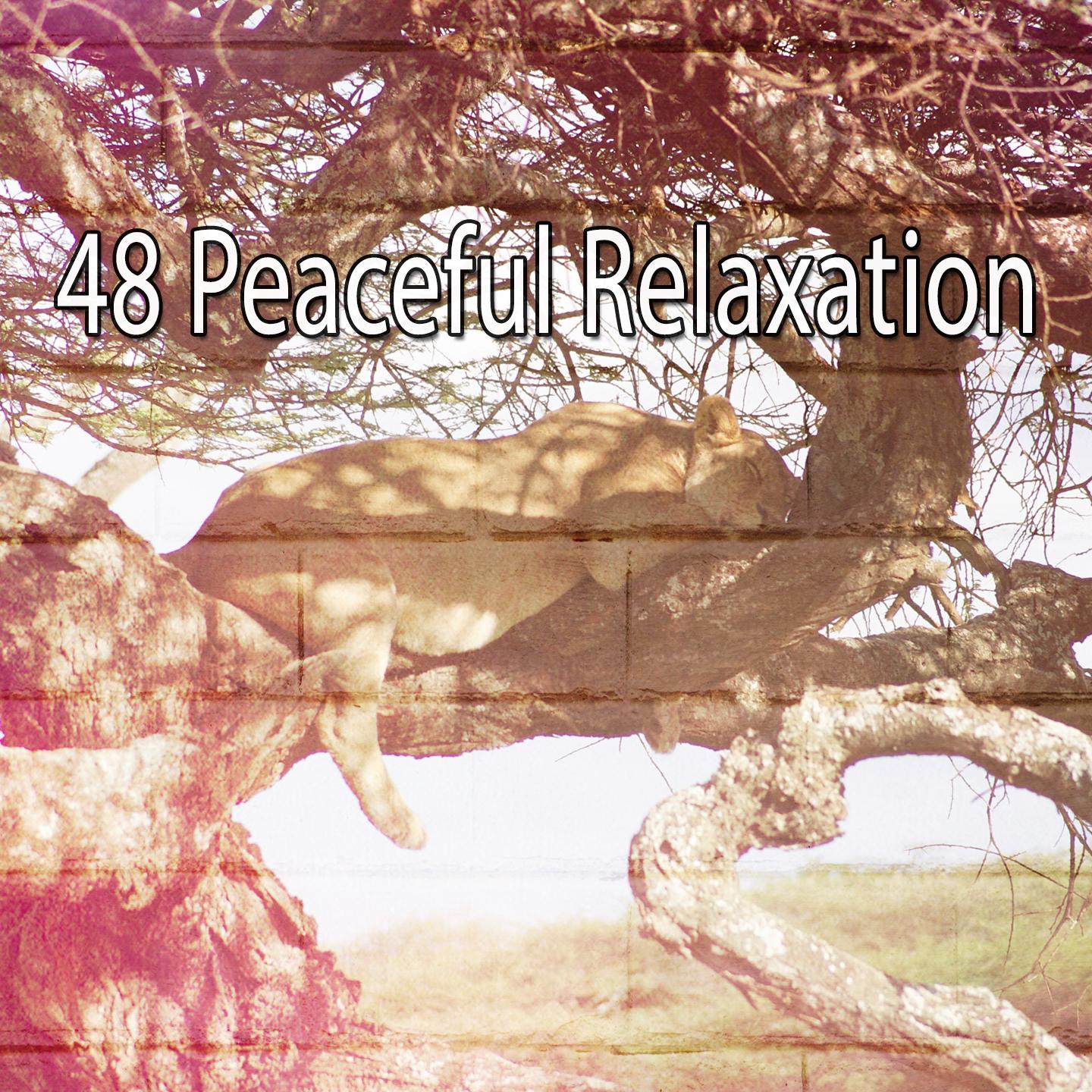48 Peaceful Relaxation