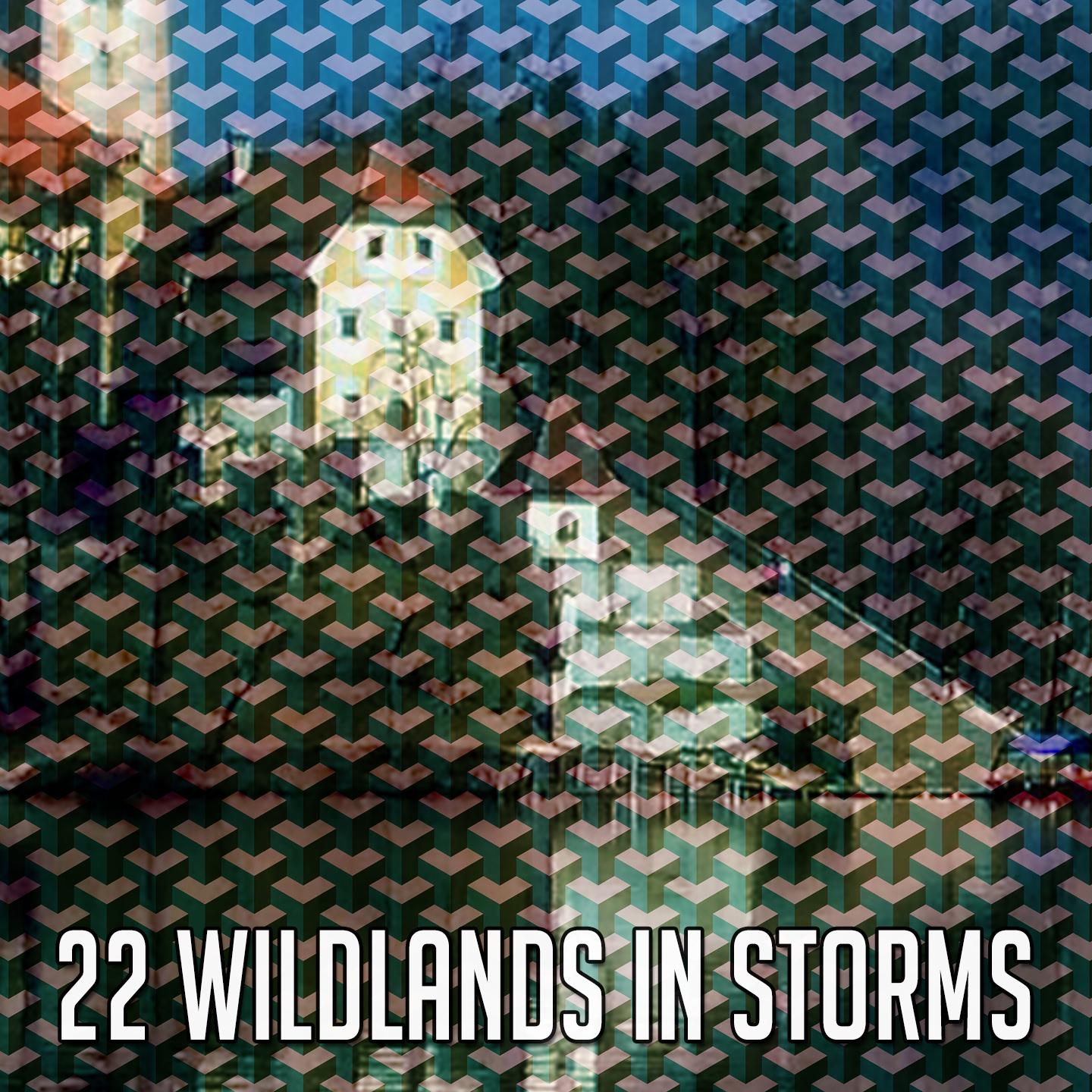 22 Wildlands in Storms