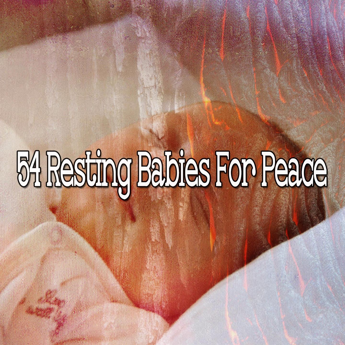 54 Resting Babies for Peace