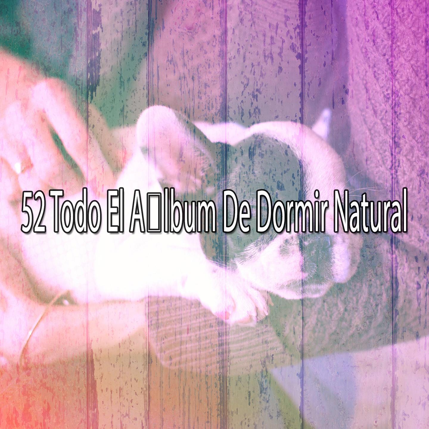 52 Todo El Album De Dormir Natural