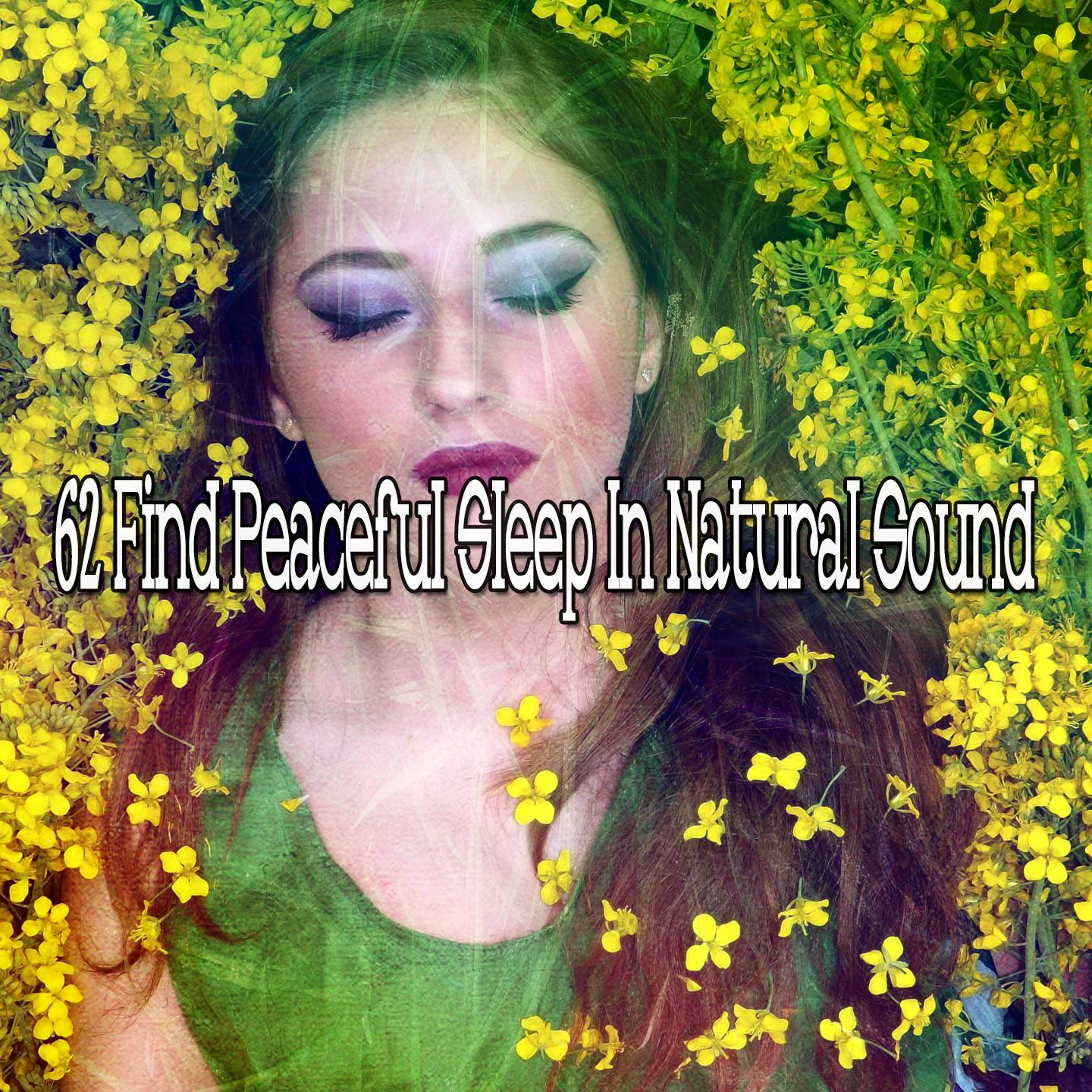 62 Find Peaceful Sleep in Natural Sound