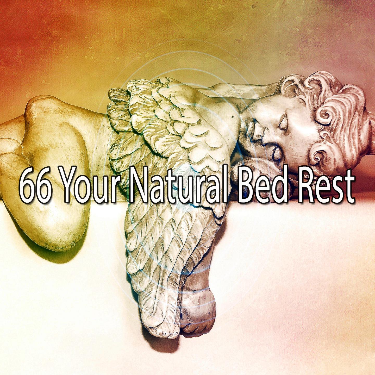 66 Your Natural Bed Rest