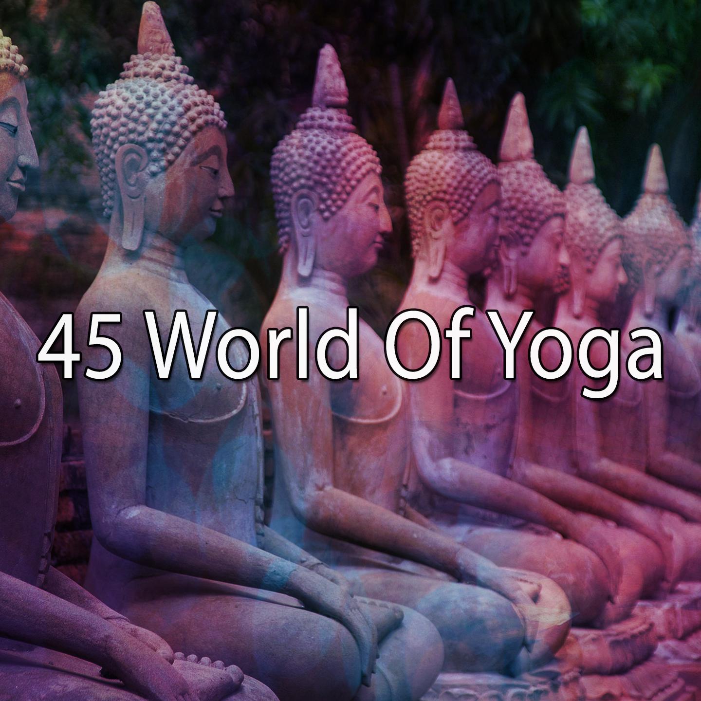 45 World of Yoga