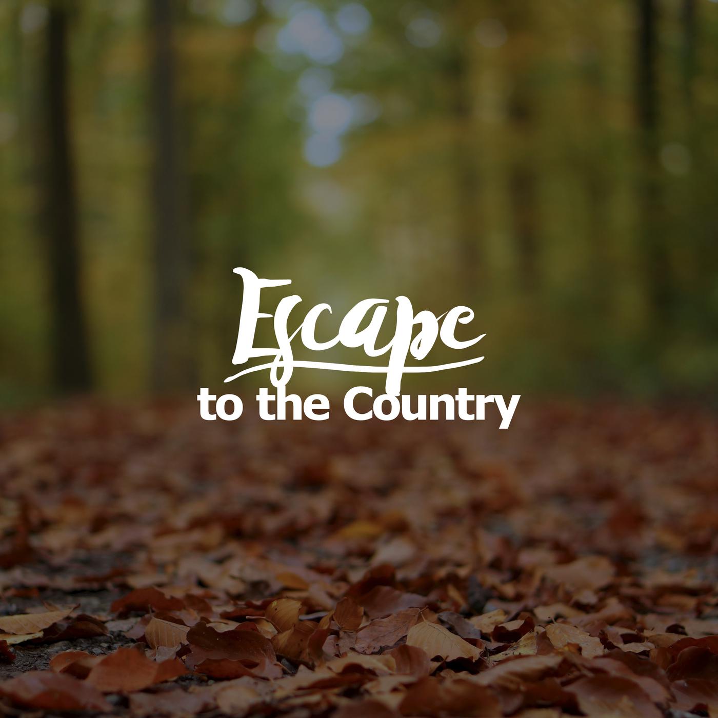 Escape to the Country