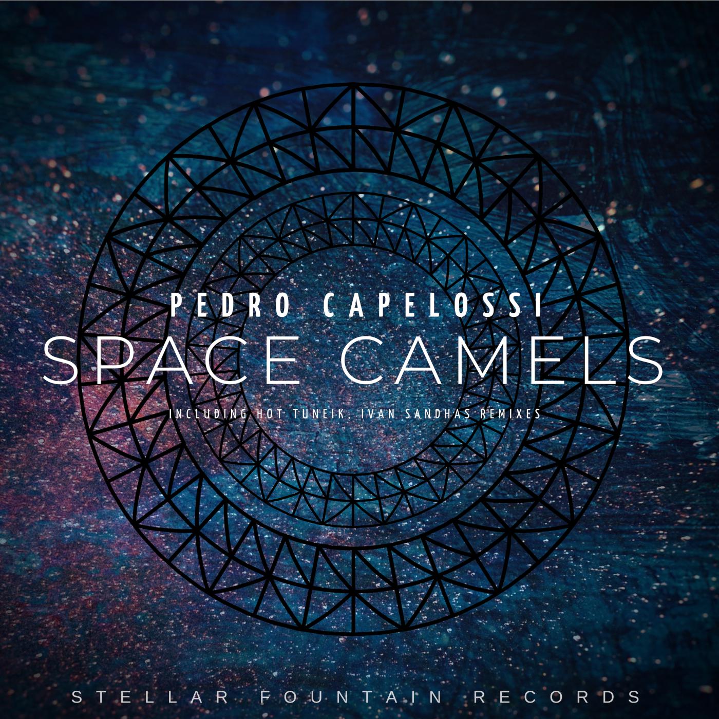 Space Camels