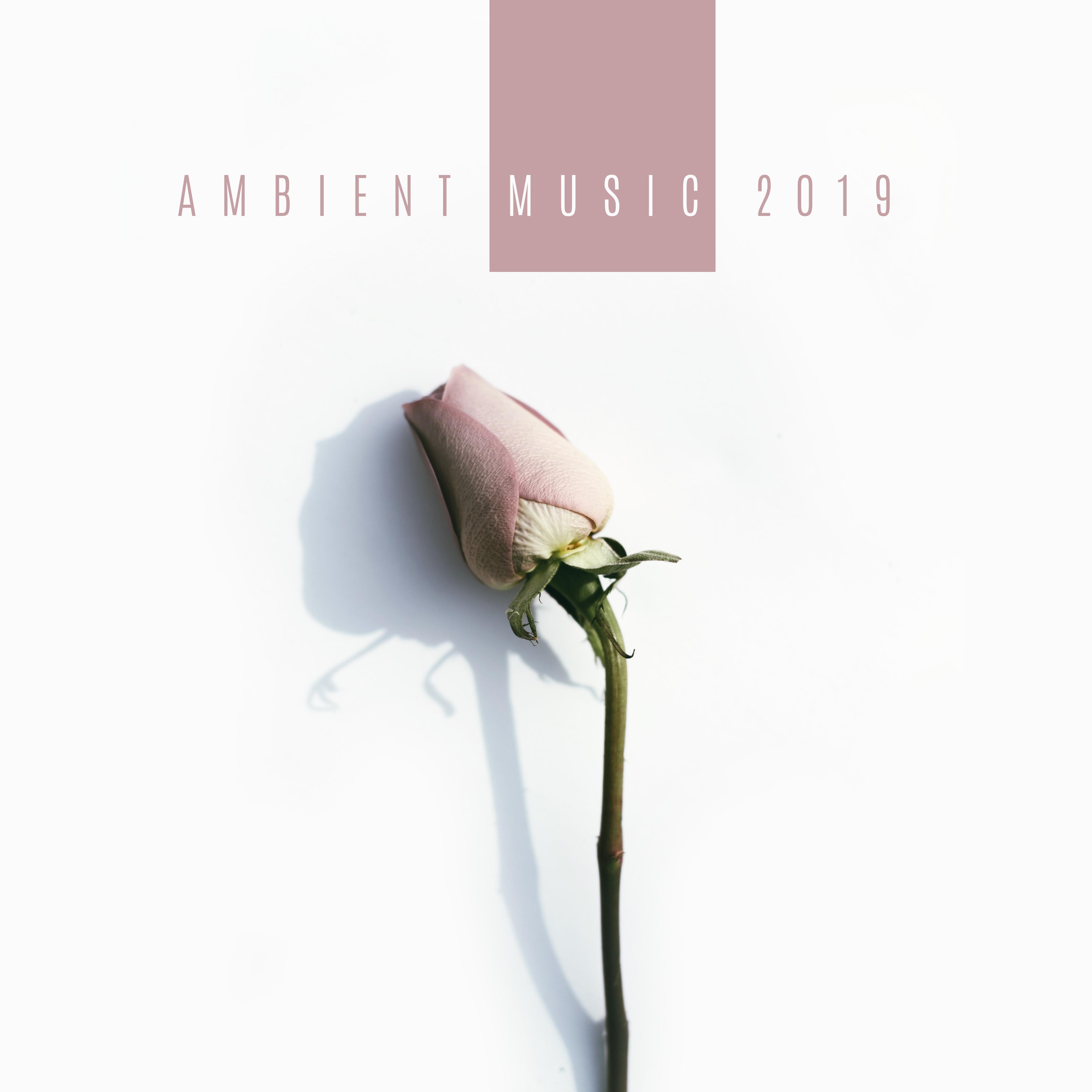 Ambient Music 2019 – Calming Sounds for Yoga, Meditation, Relaxation, Sleep, Massage, Zen, Lounge Music, Relaxing Music Therapy, Music Zone, Nature Sounds