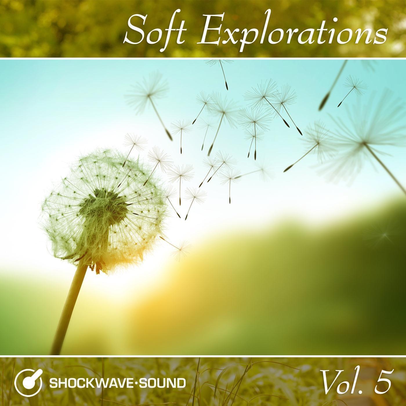 Soft Explorations, Vol. 5