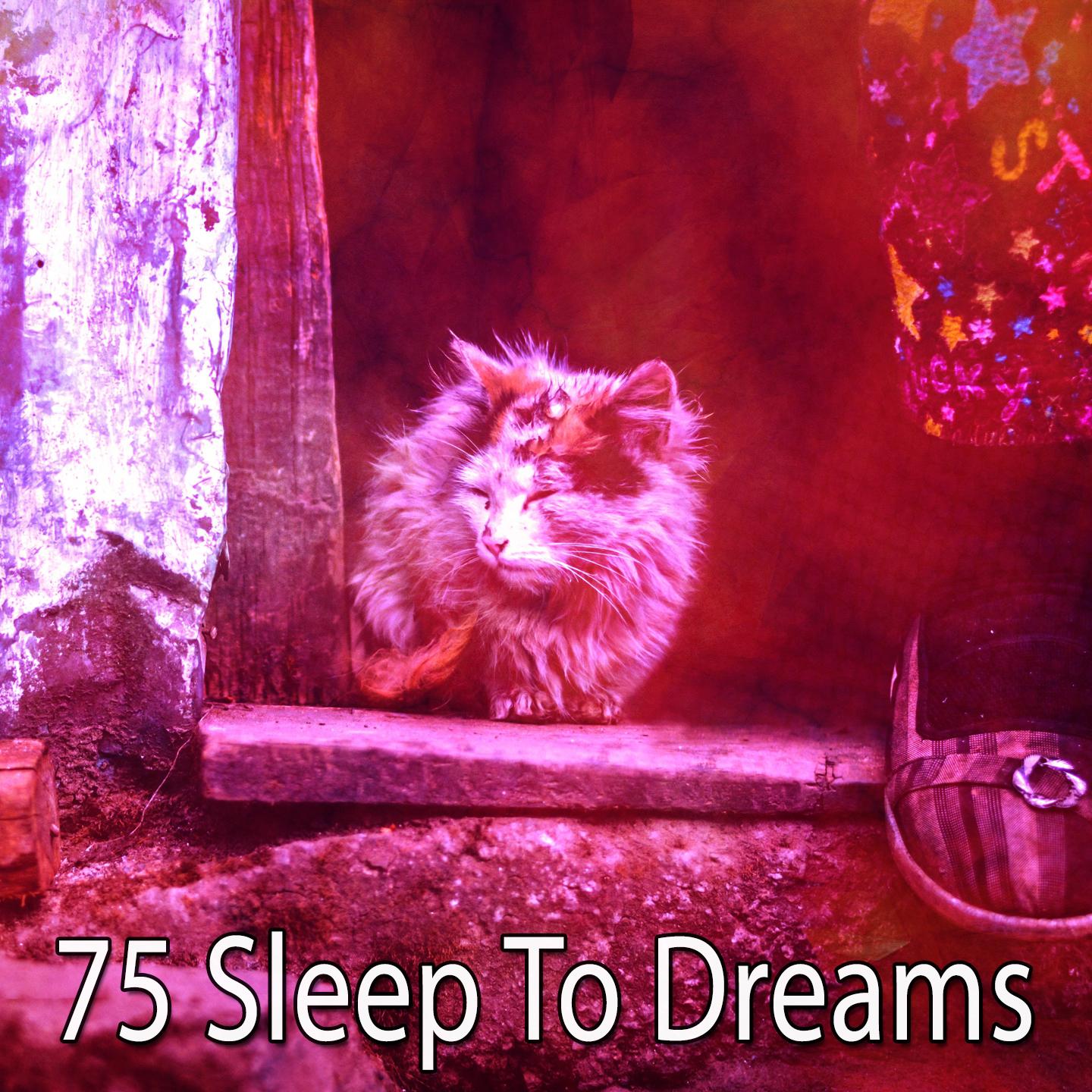 75 Sleep to Dreams