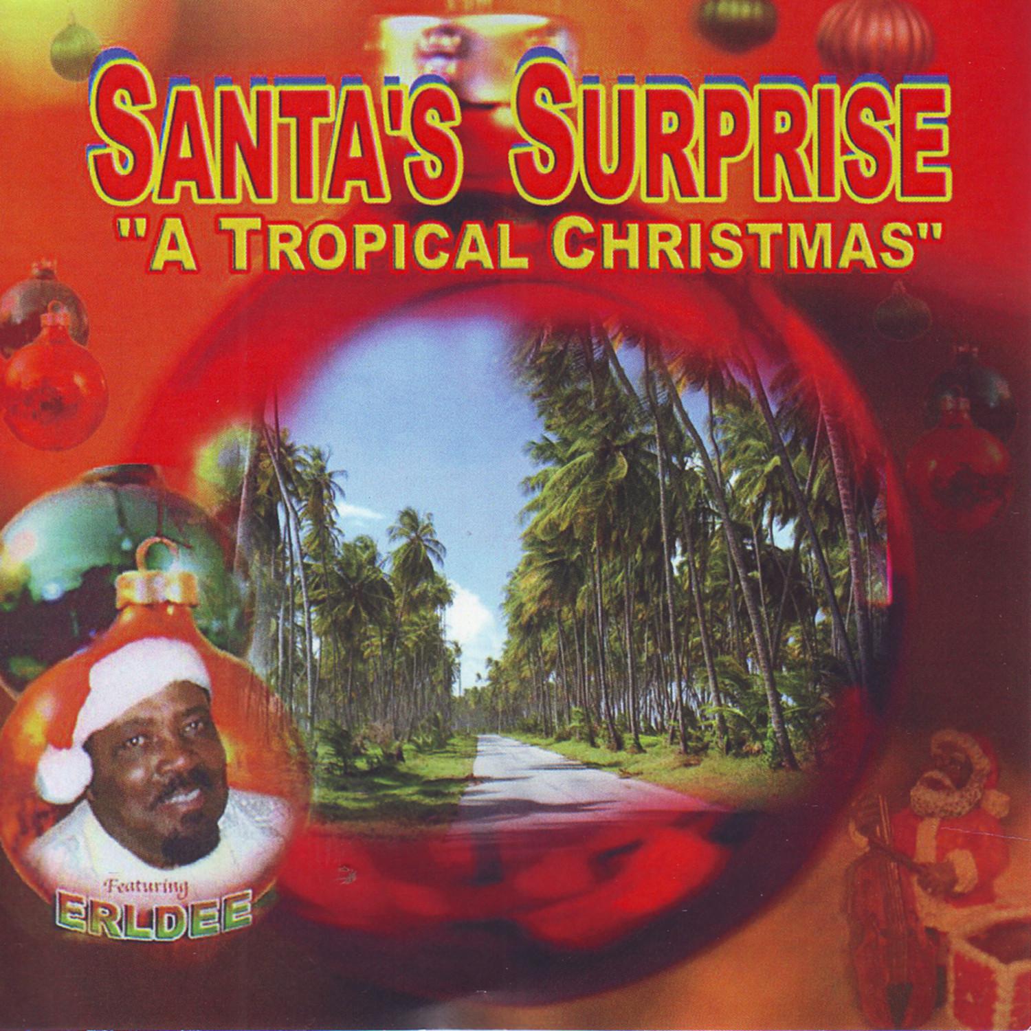 Santa's Surprise "A Tropical Christmas"