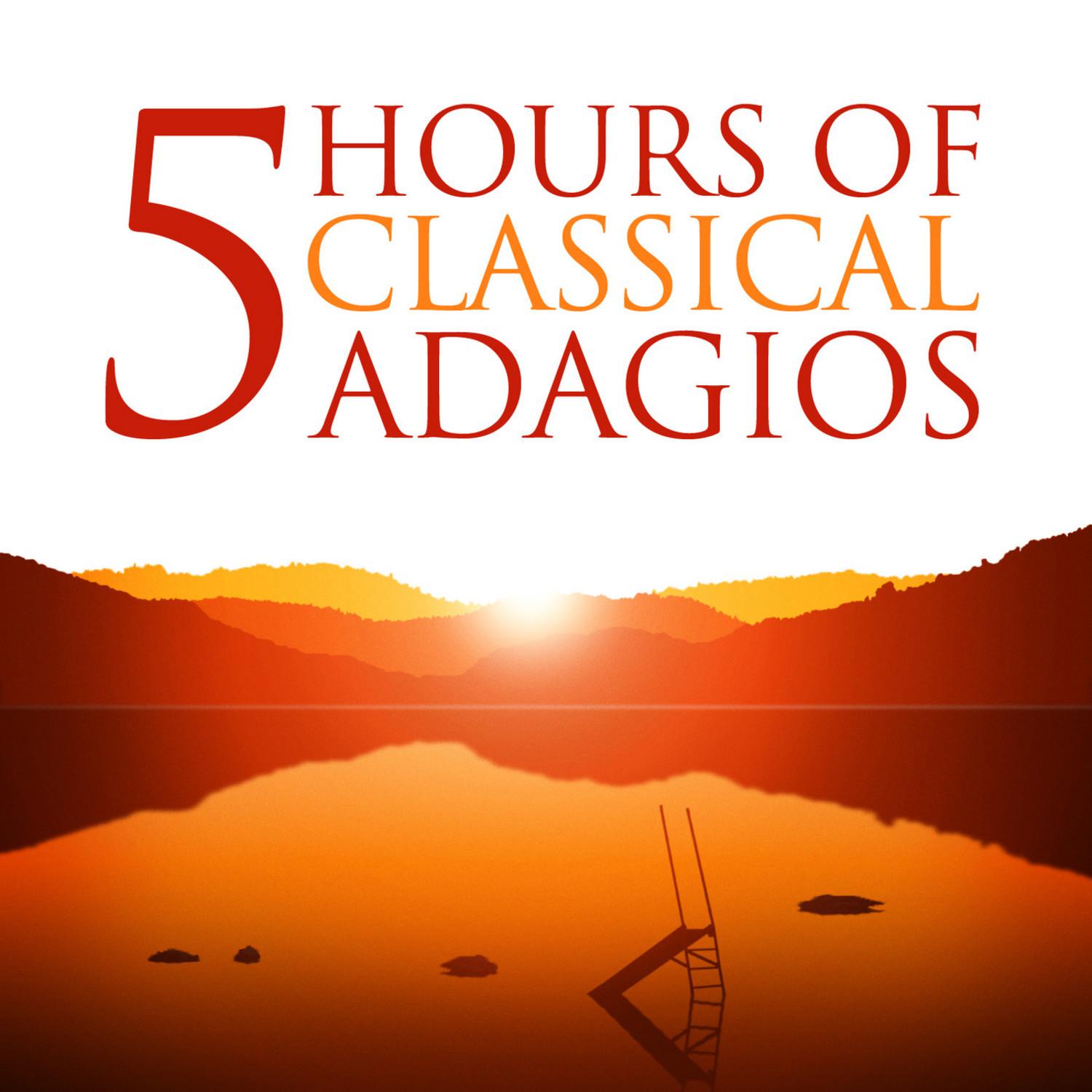 Concerto No. 1 in C Major for Cello and Orchestra, Hob. VIIb/1: II. Adagio