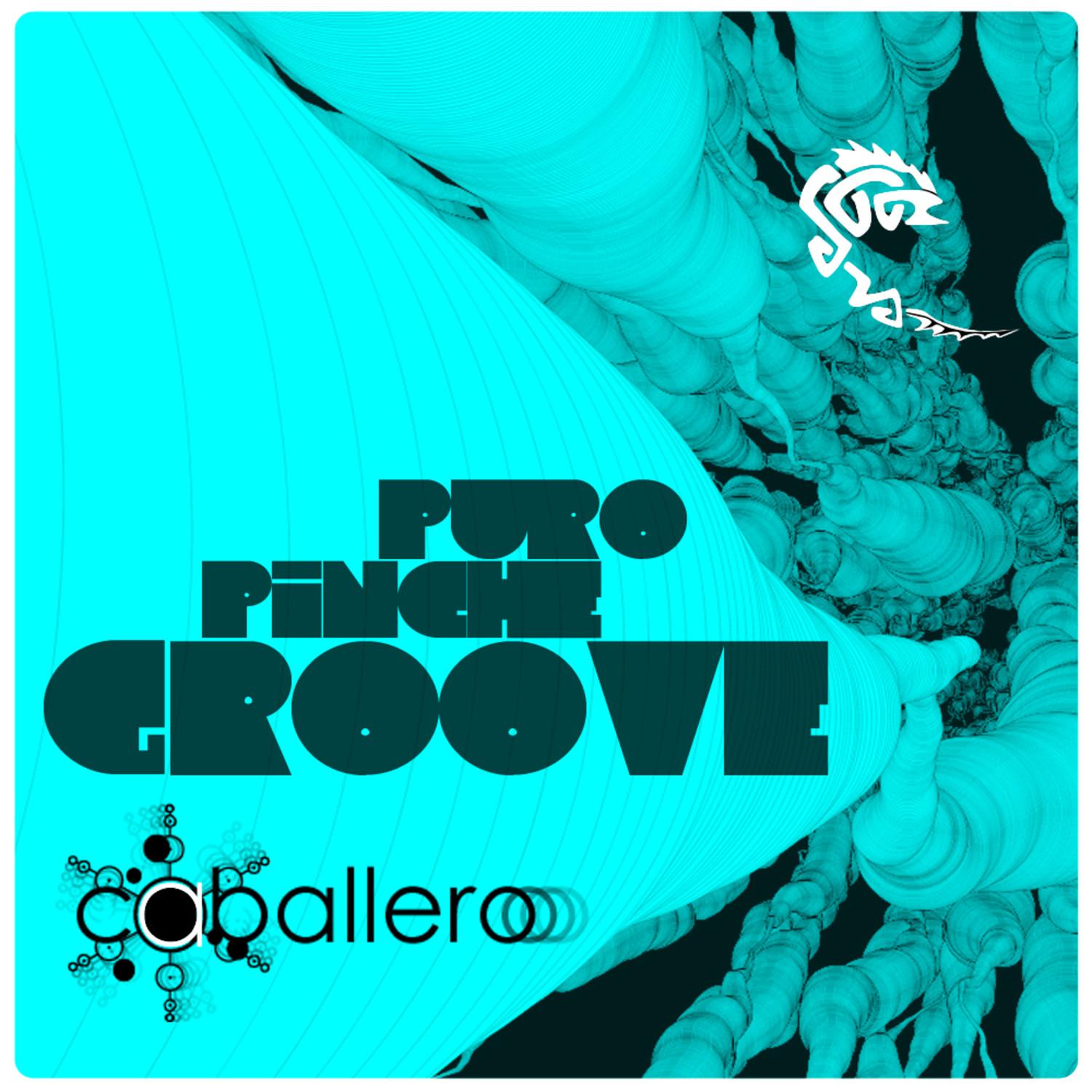 P.P.G ( Puro Piche Groove )